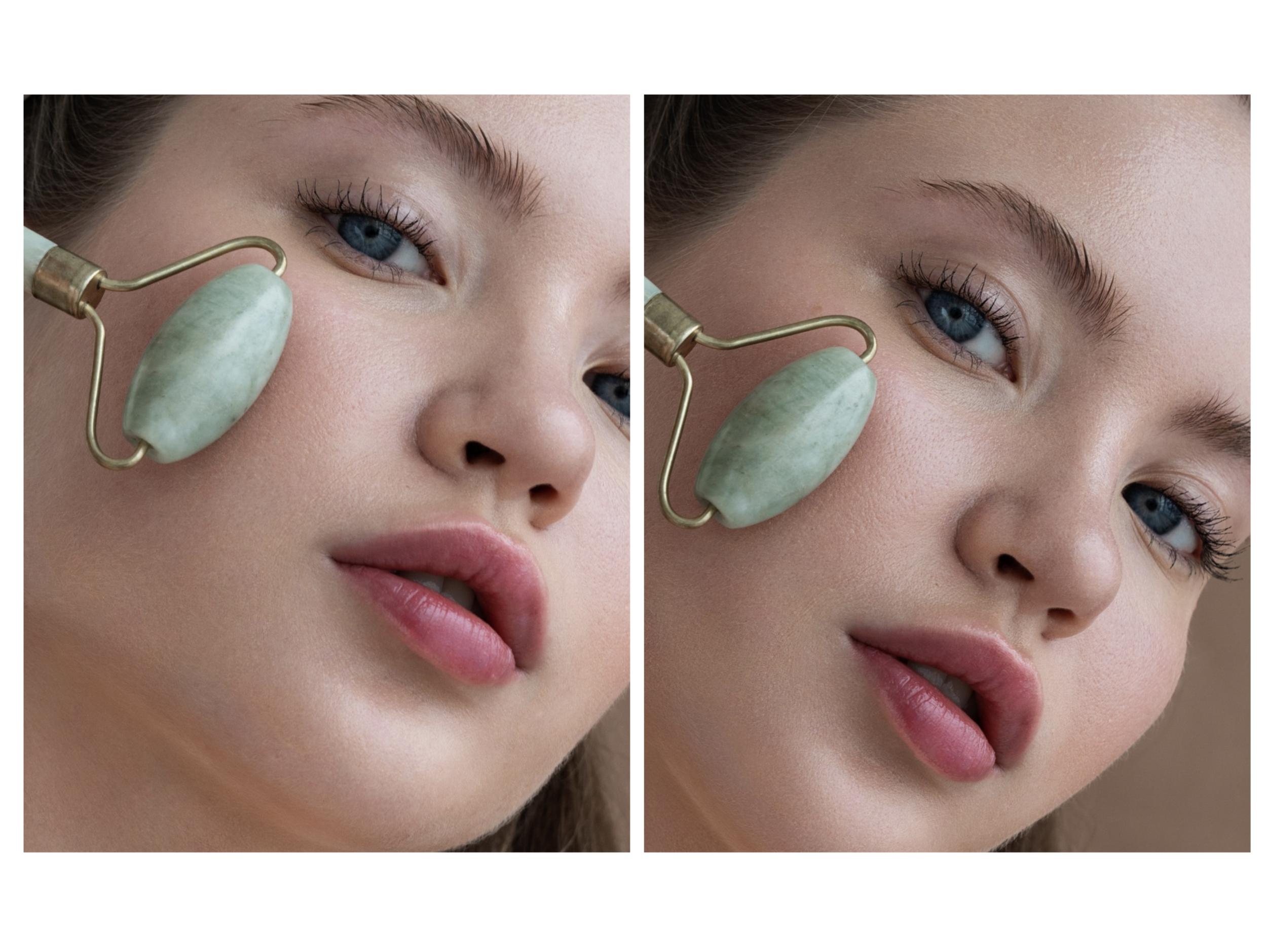 toronto macro photography