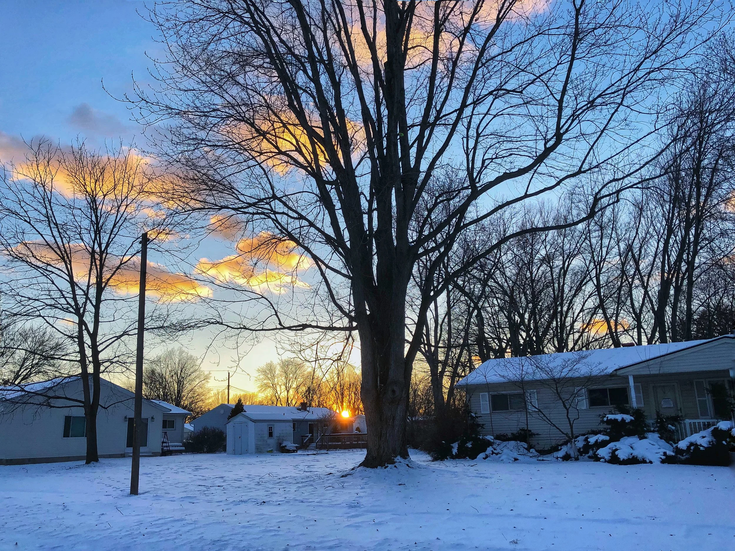 Walking around my Grandma's neighborhood.