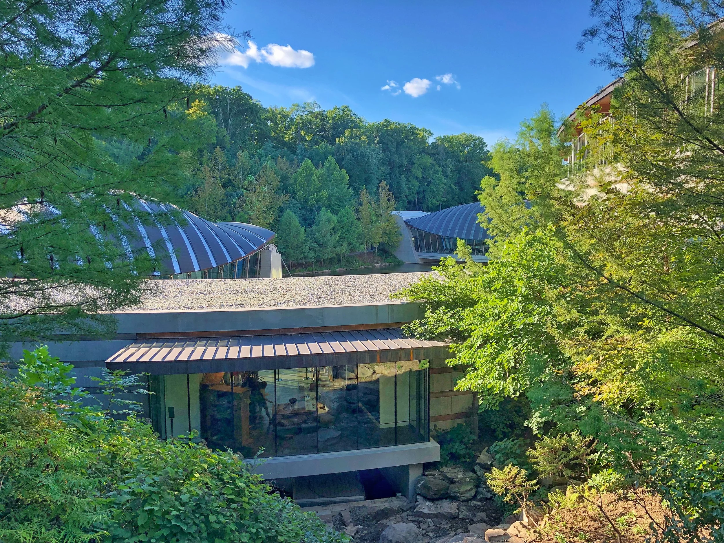 Crystal Bridges museum in Bentonville Arkansas