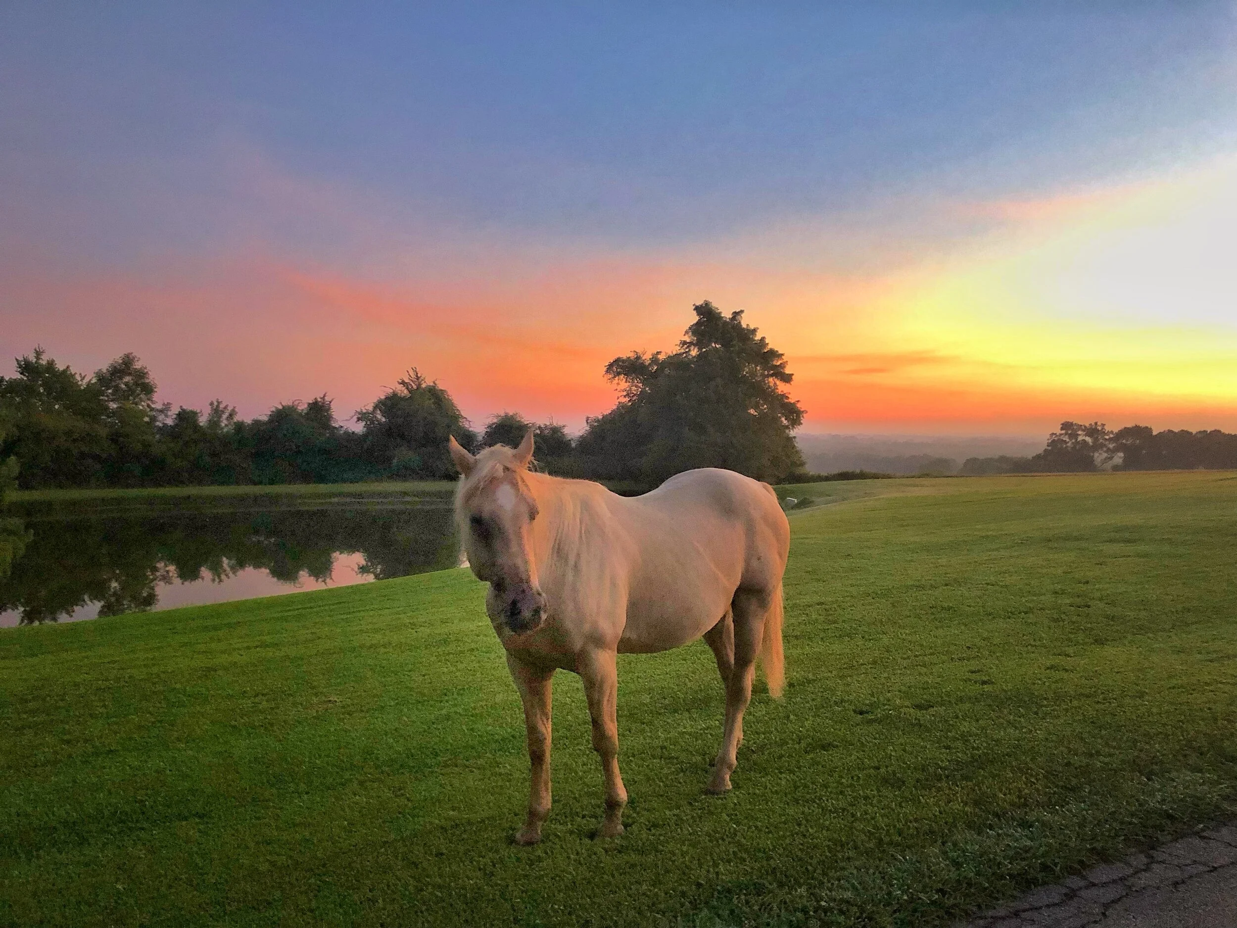 Visiting Chappell Hill Texas — Gibsooon