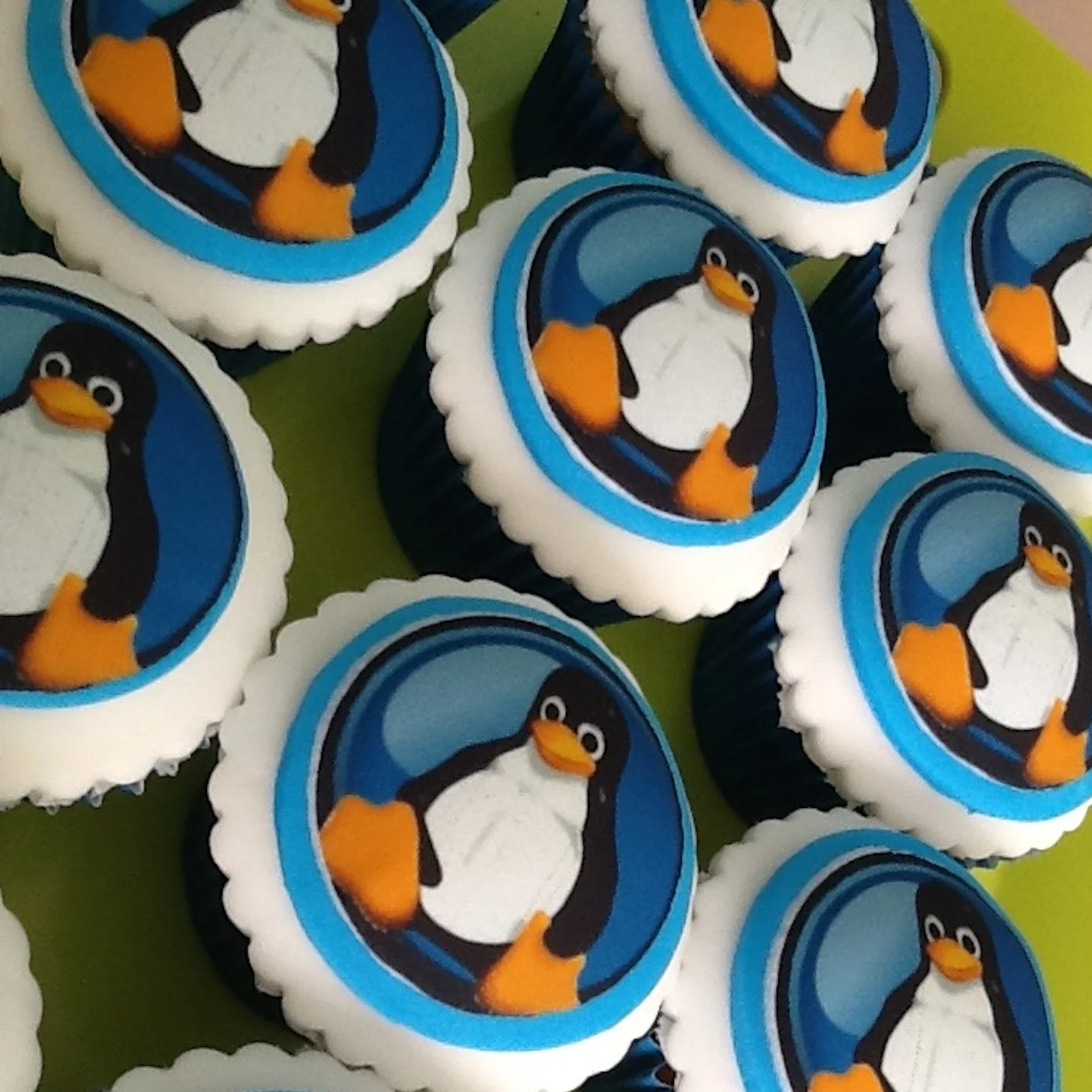 Image penguin.jpg
