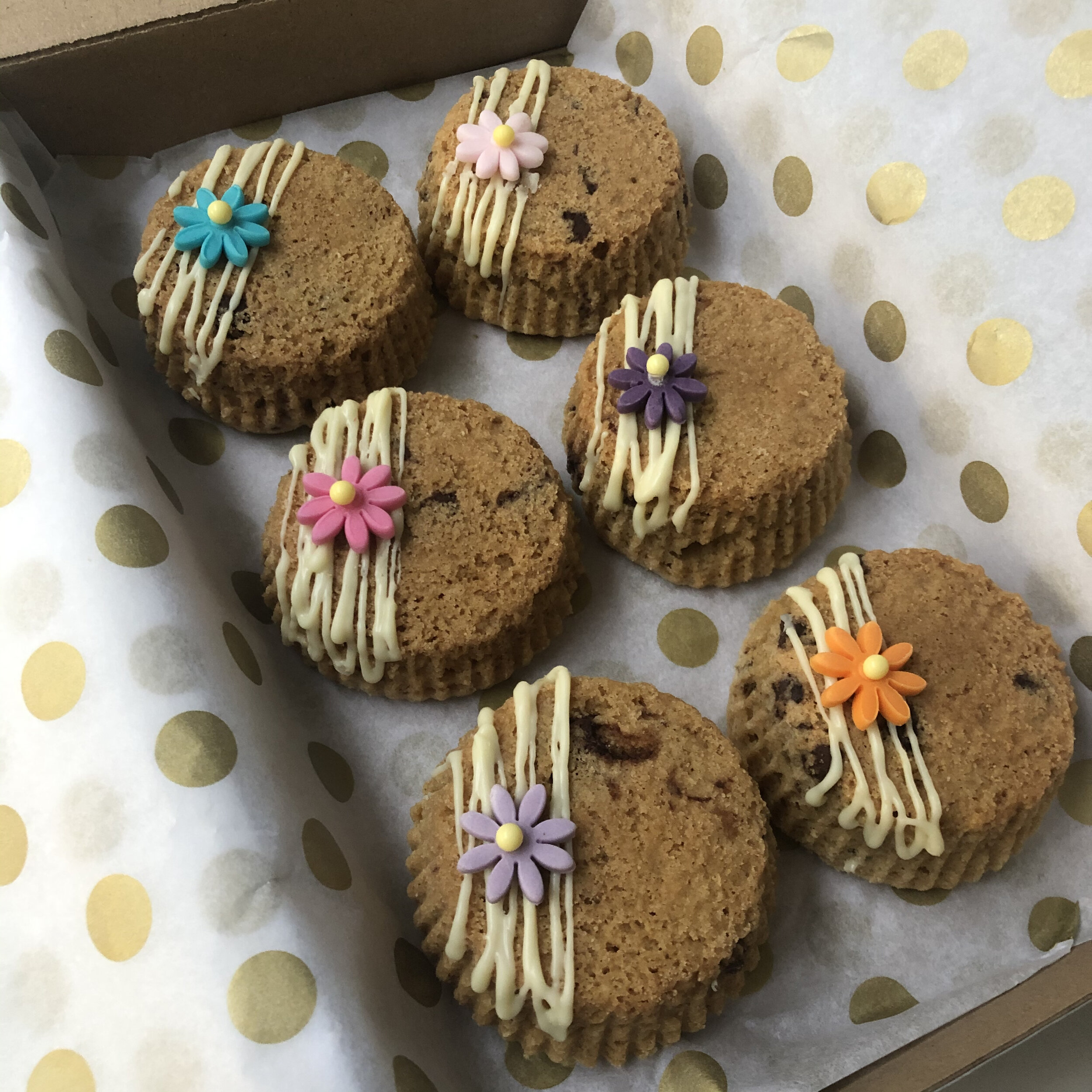 Cookie cakes - daisies multi.jpg
