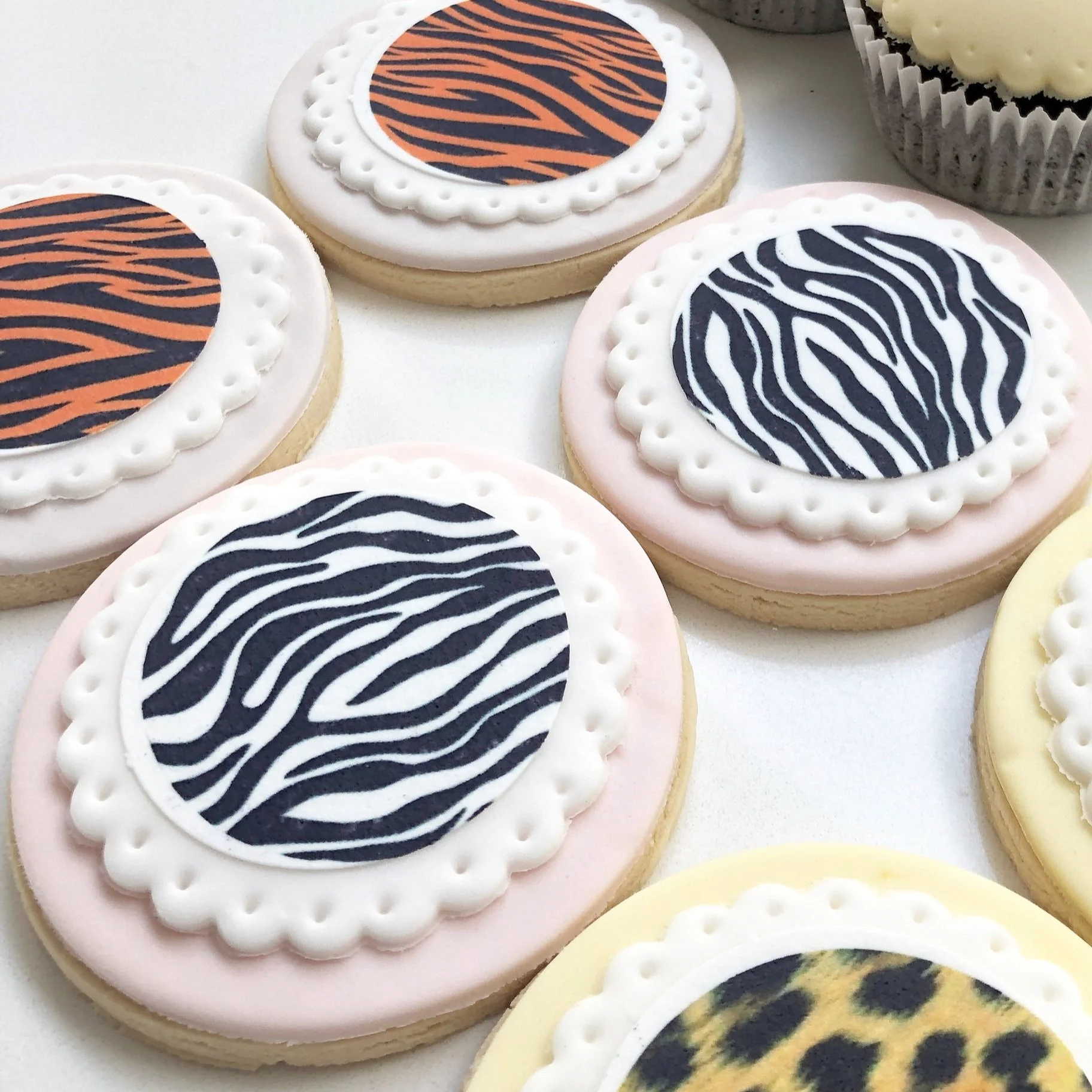 Printed Biscuits - a box of 10