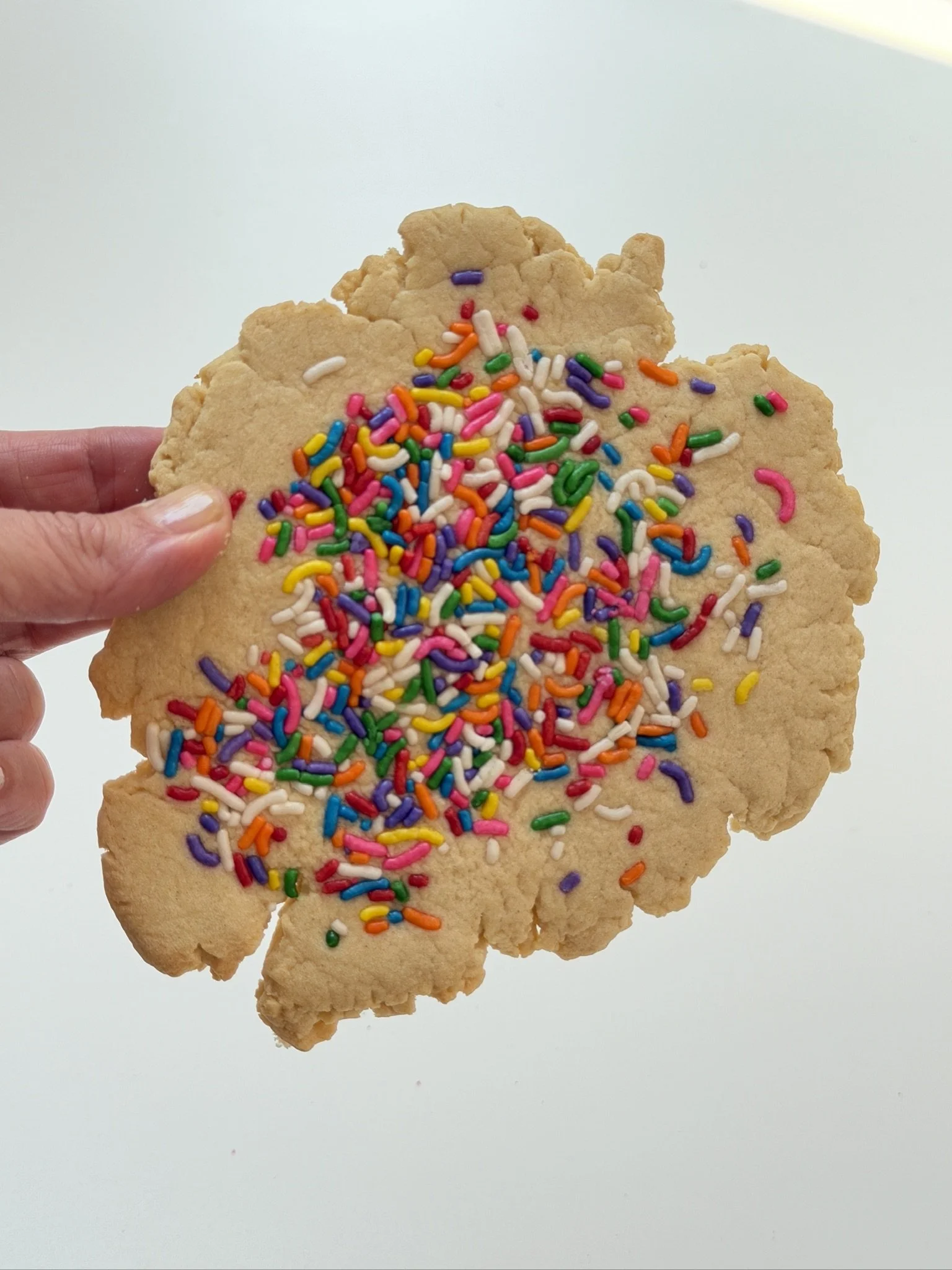 "Waste Me Not" Biscuit Slab