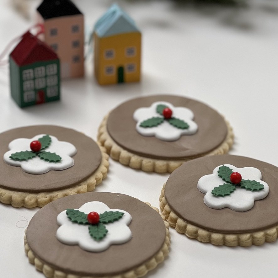 Xmas Pud Biscuit