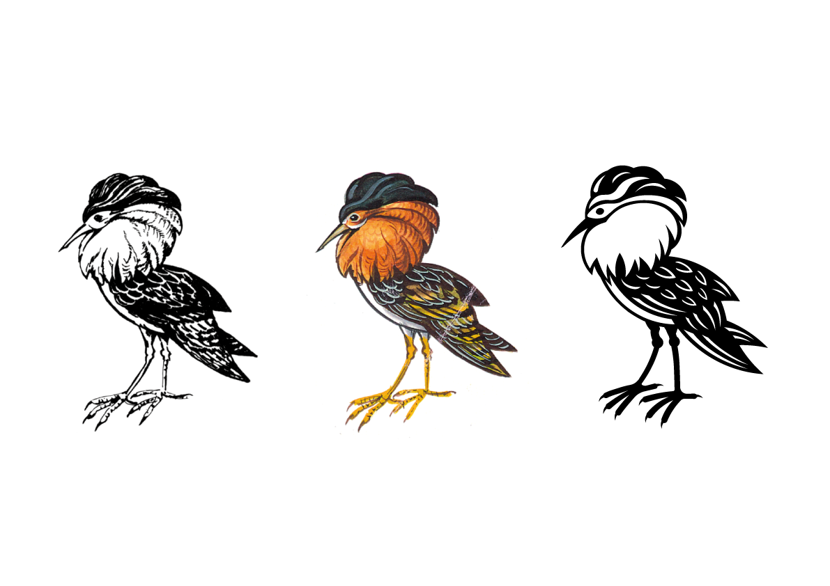 Before and after. From original sketches to the graphic Ruff bird