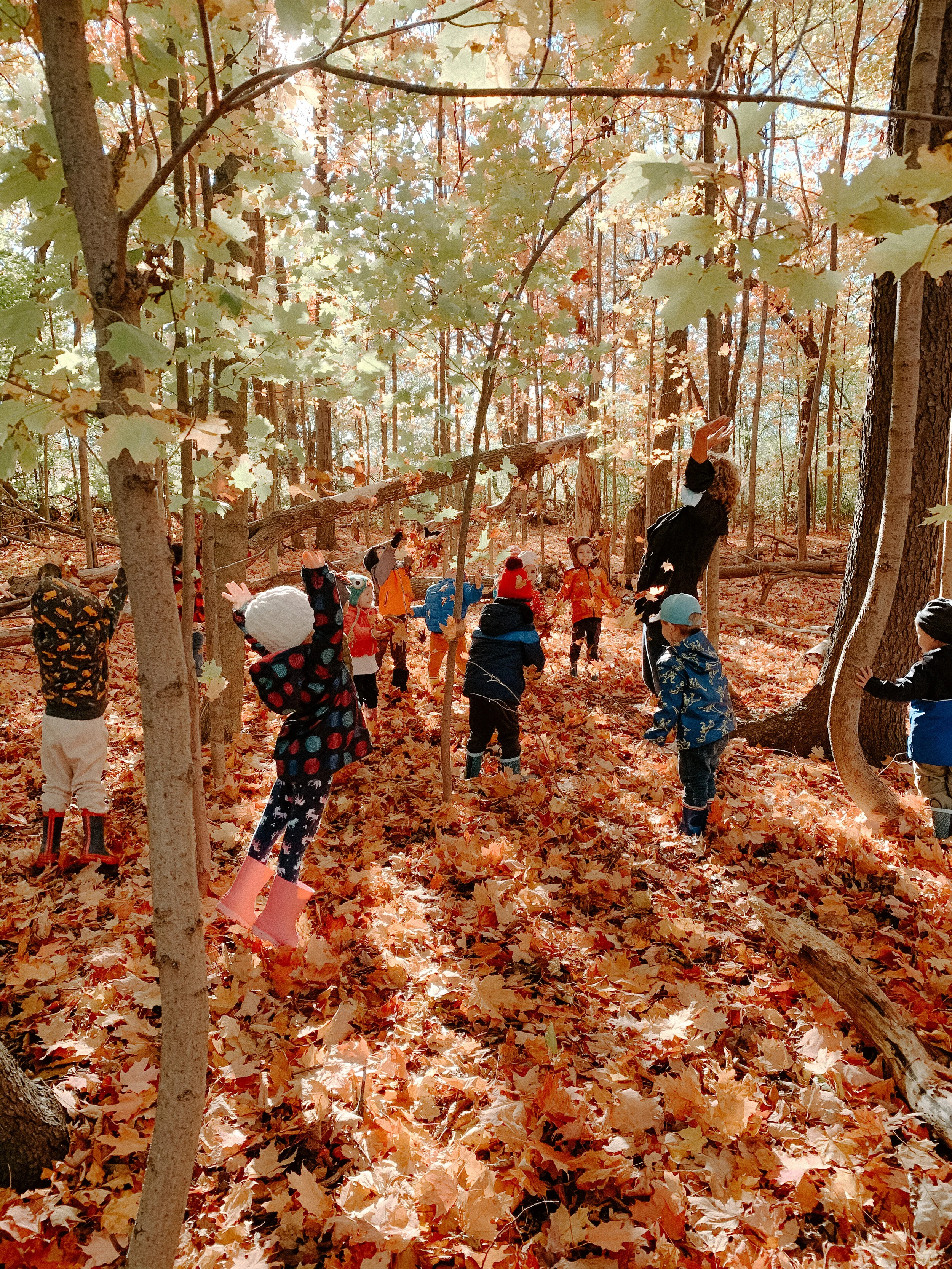 How Nature Inspires: Journeys into Eramosa Karst
