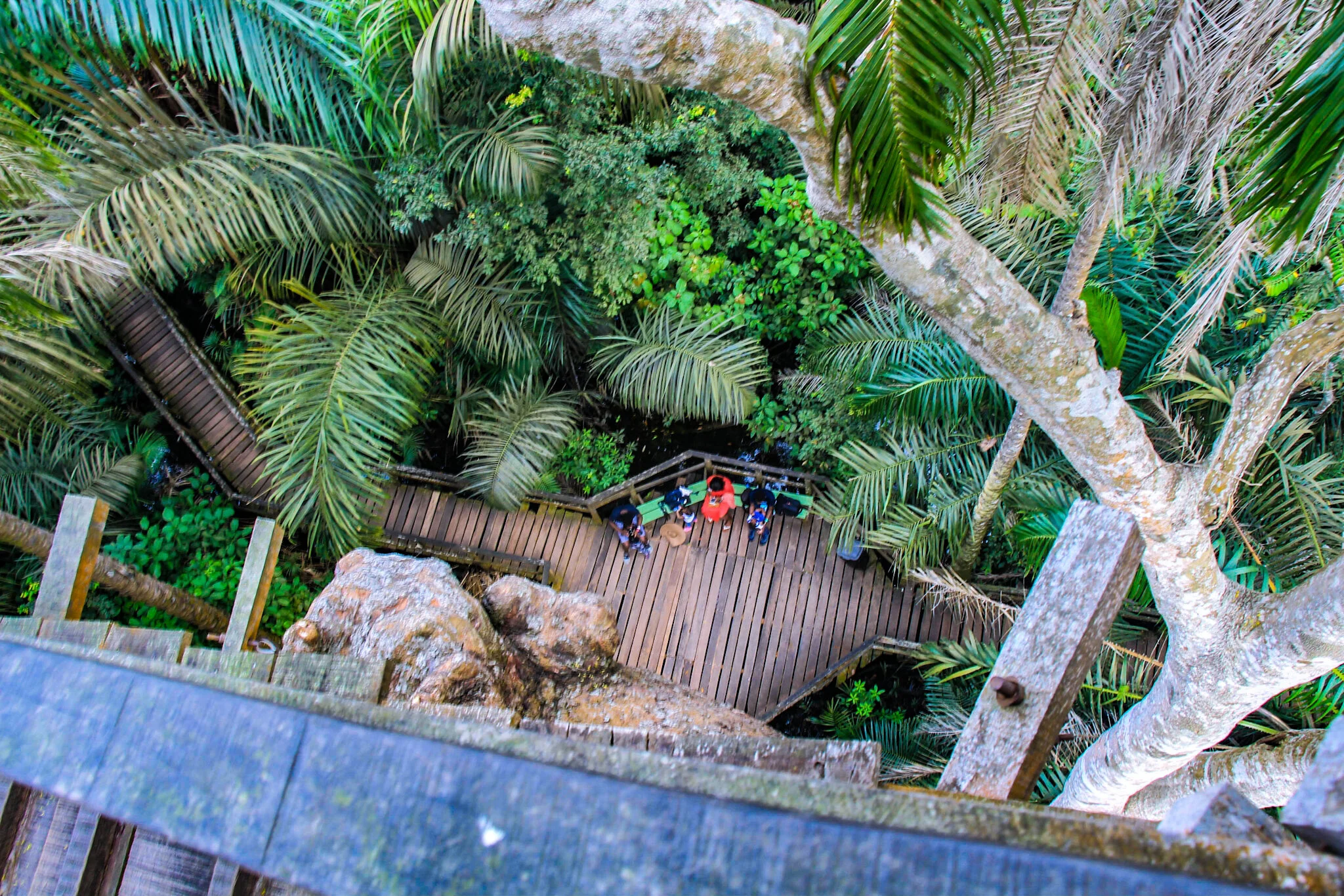 Lekki Conservation Center