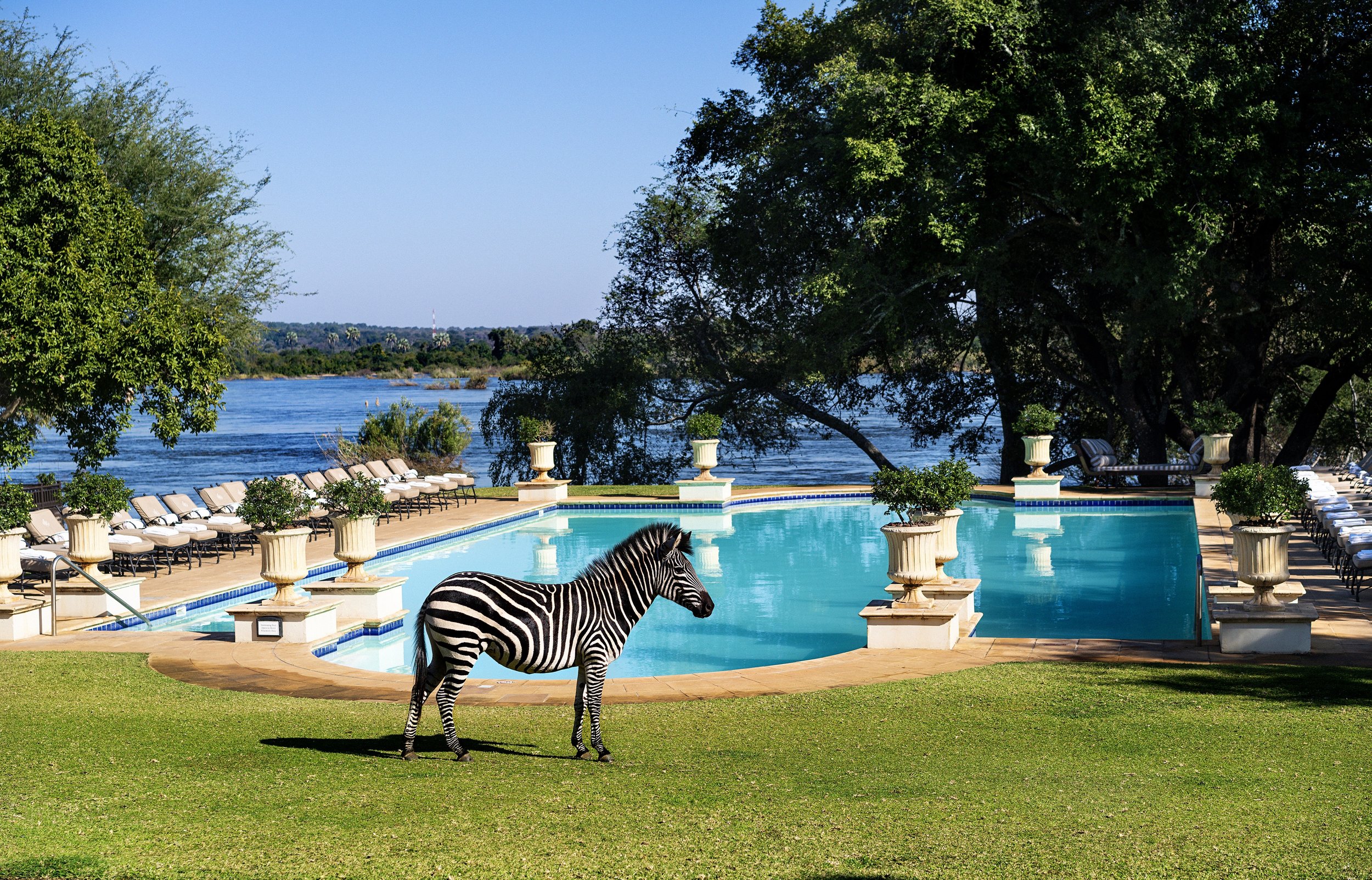The_Royal_Livingstone_by_Anantara_Pool_view_With_Zebra-3976x2549.jpg