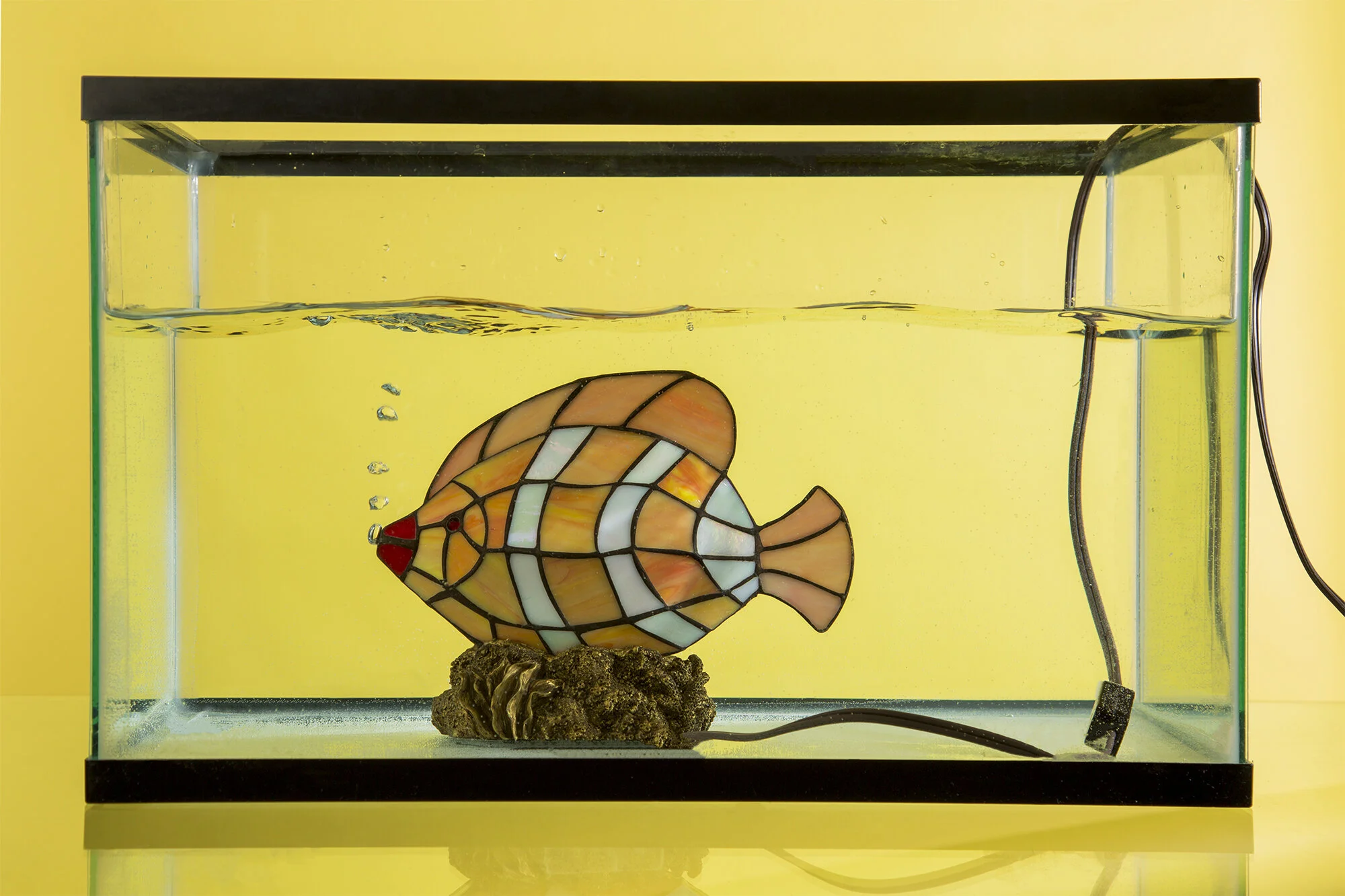 Fish.jpg