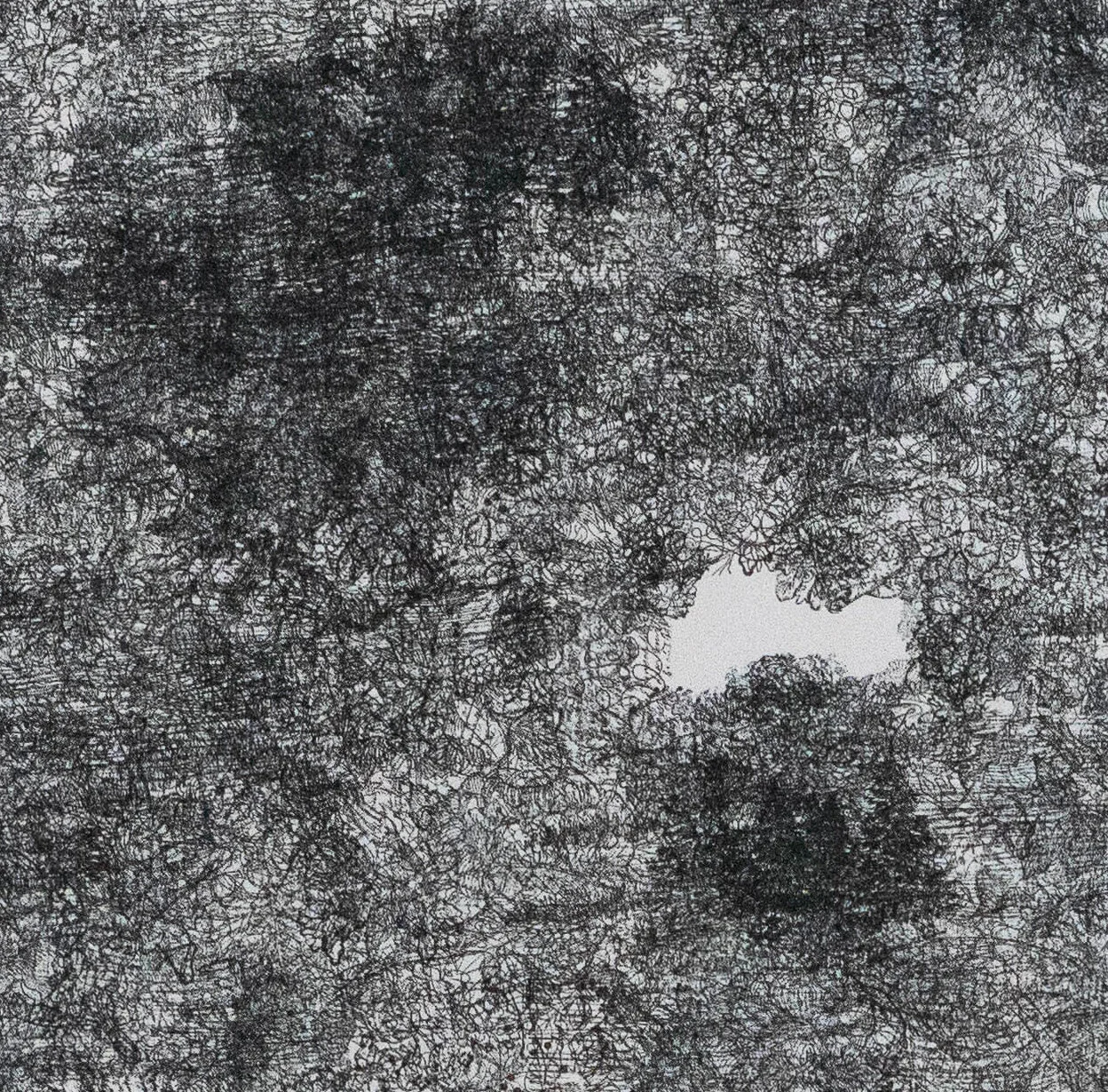 chaos patterns detail.jpg