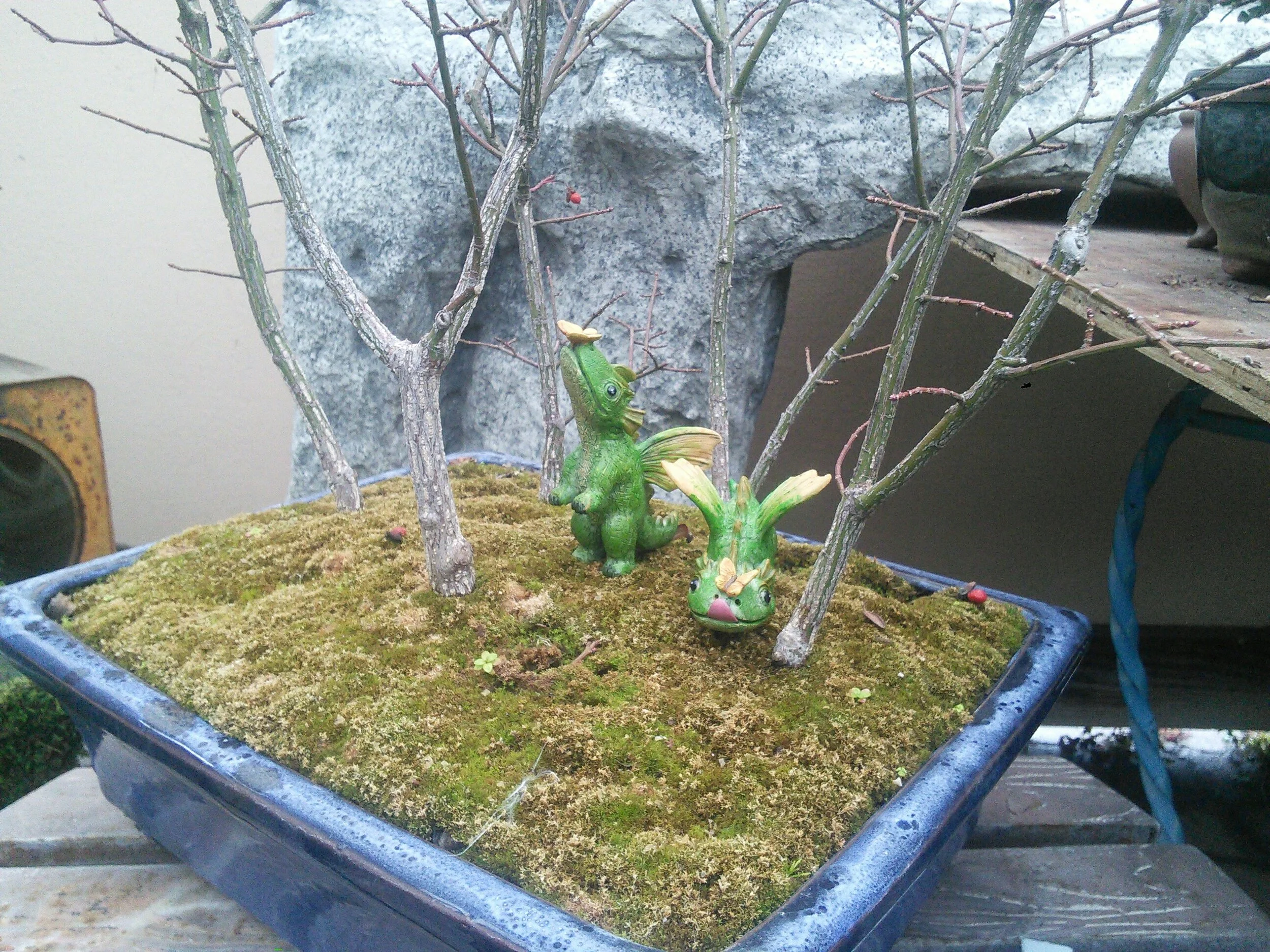 A Soft Landing and Dragon Friends