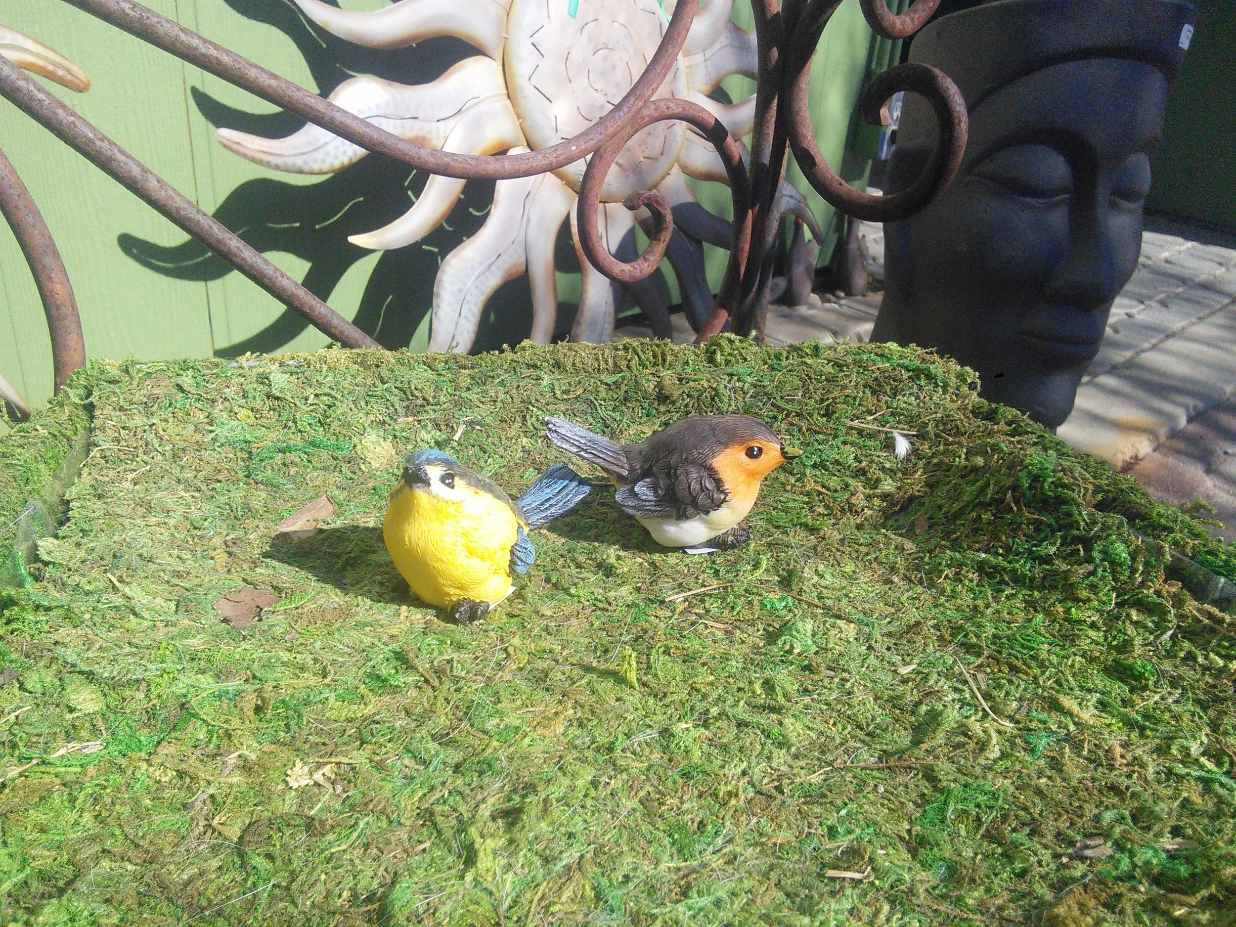 Birds