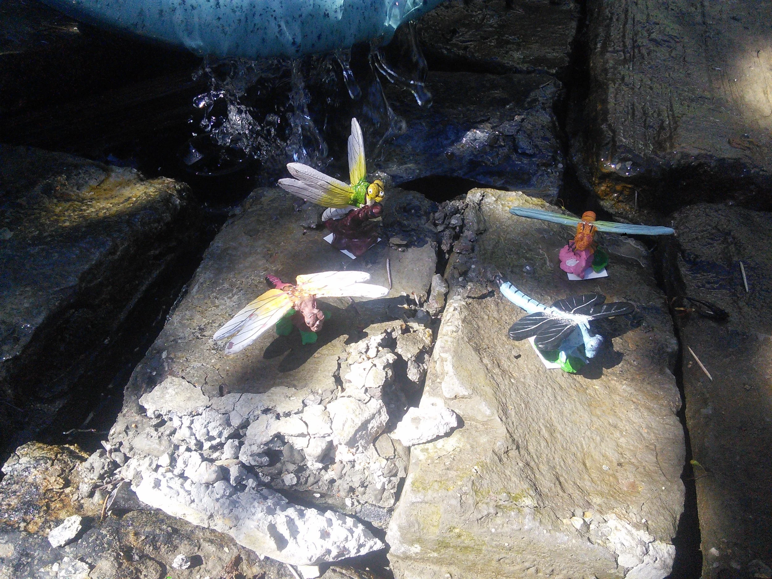 Dragon flies
