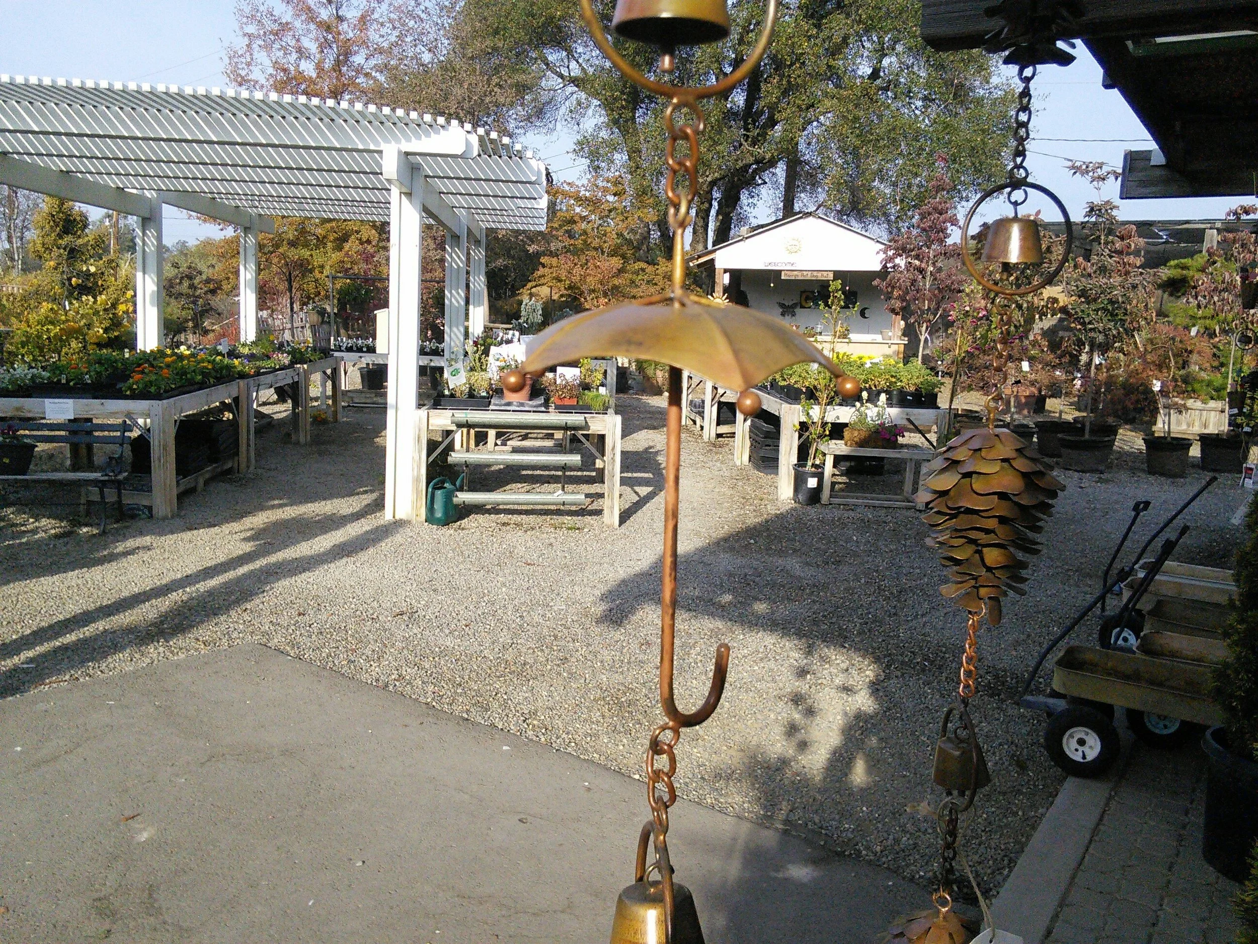 Rain Chain 1.jpg