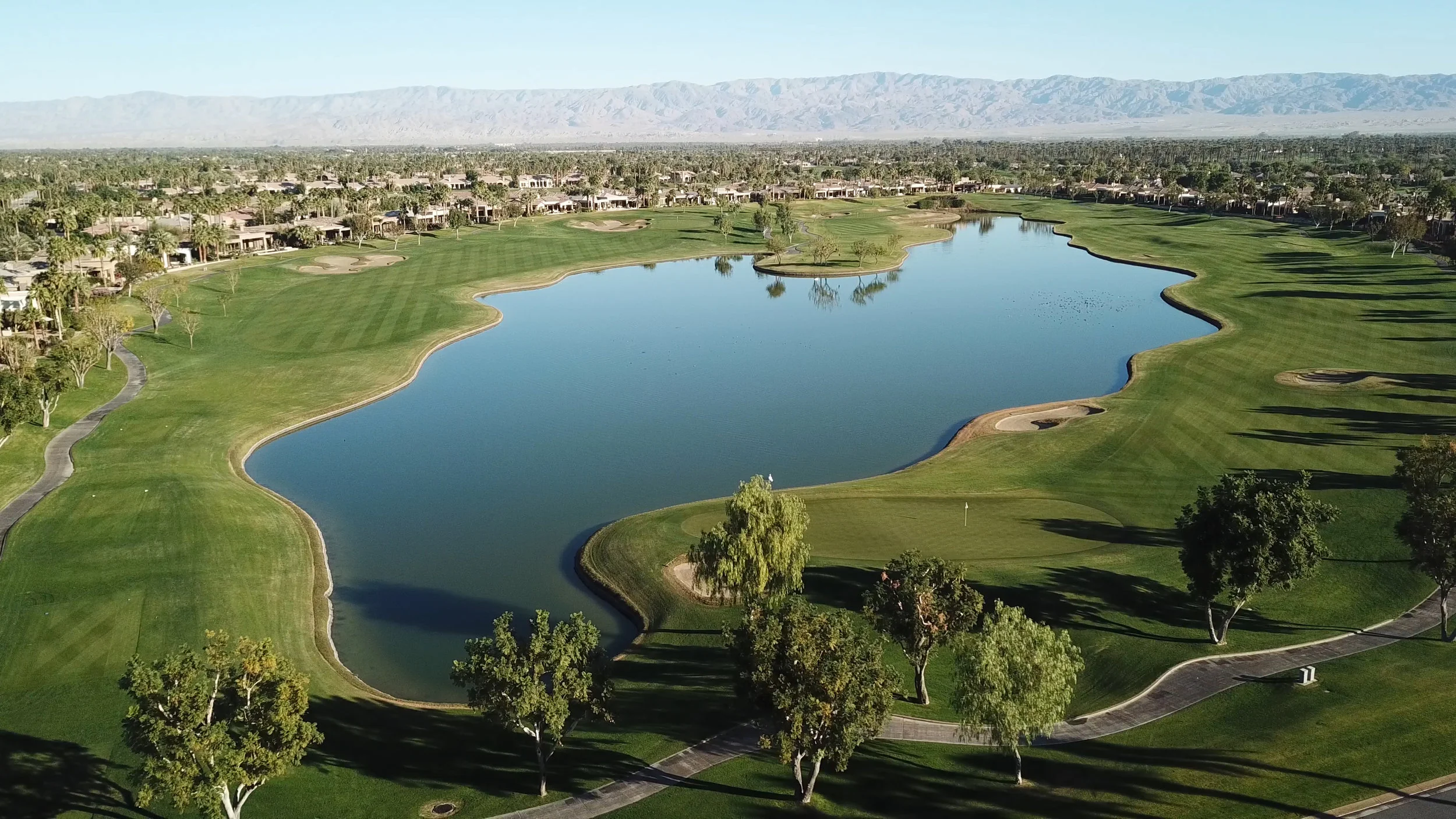 GolfStill.jpg