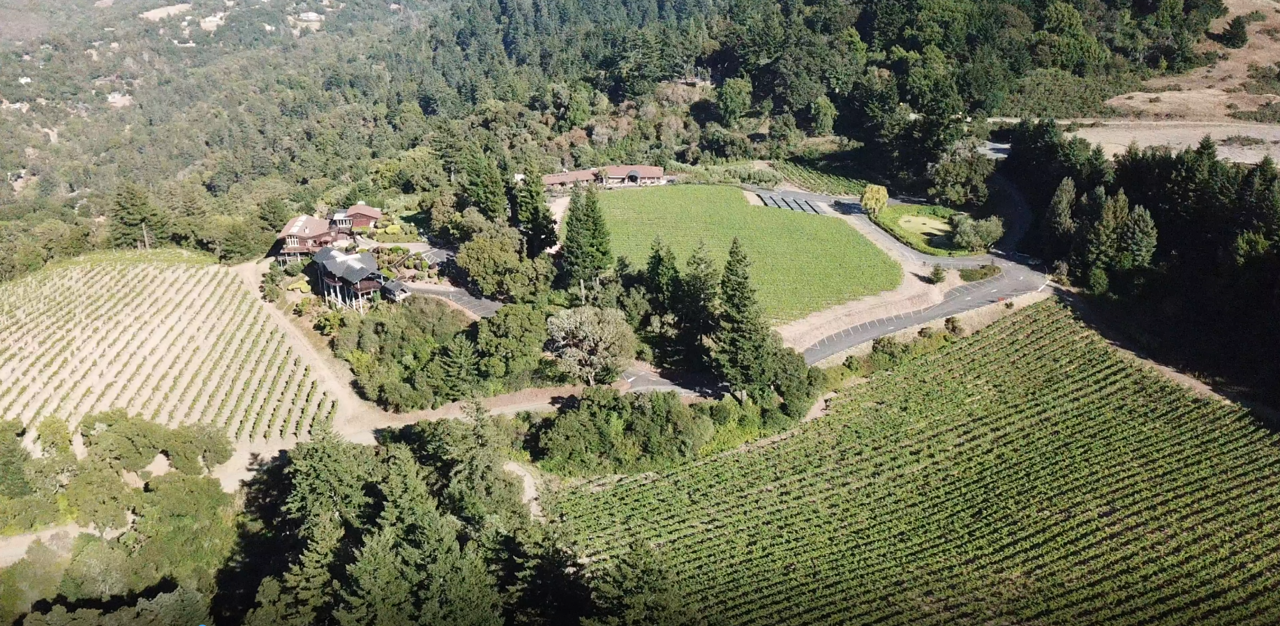 Fogarty Winery overview.PNG