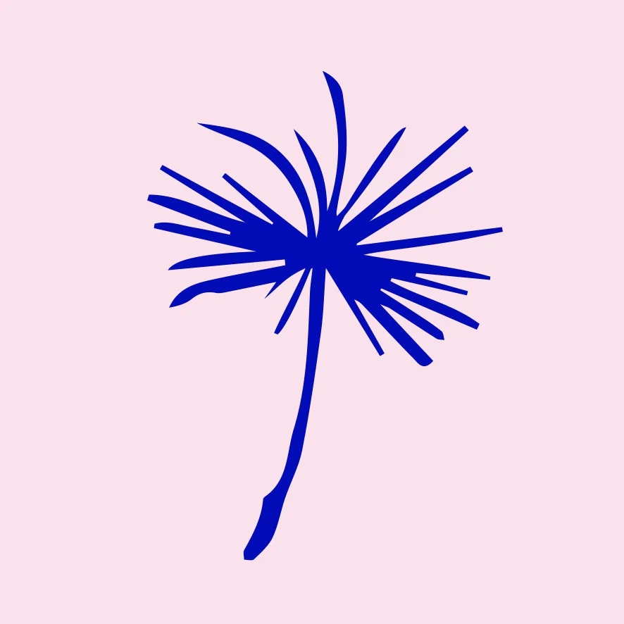 logoInsta.jpg