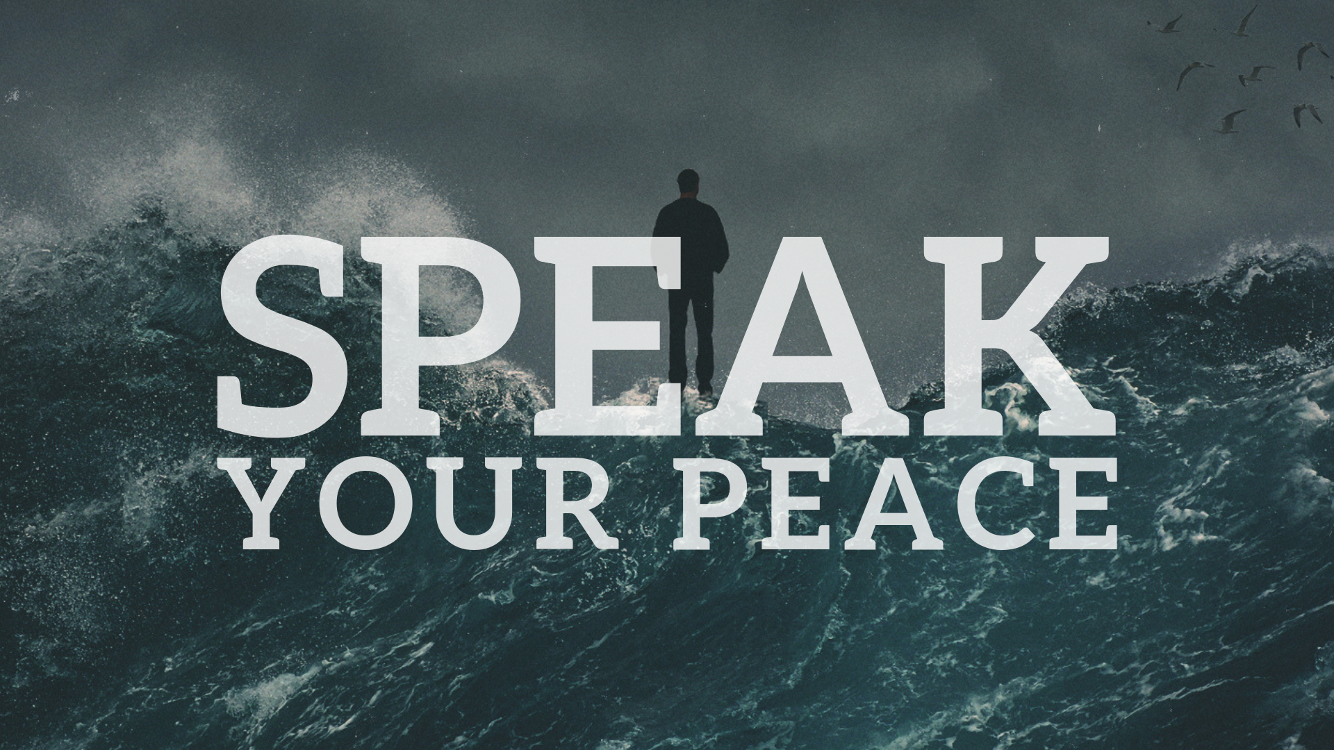 Speak Your Peace 2-2.png
