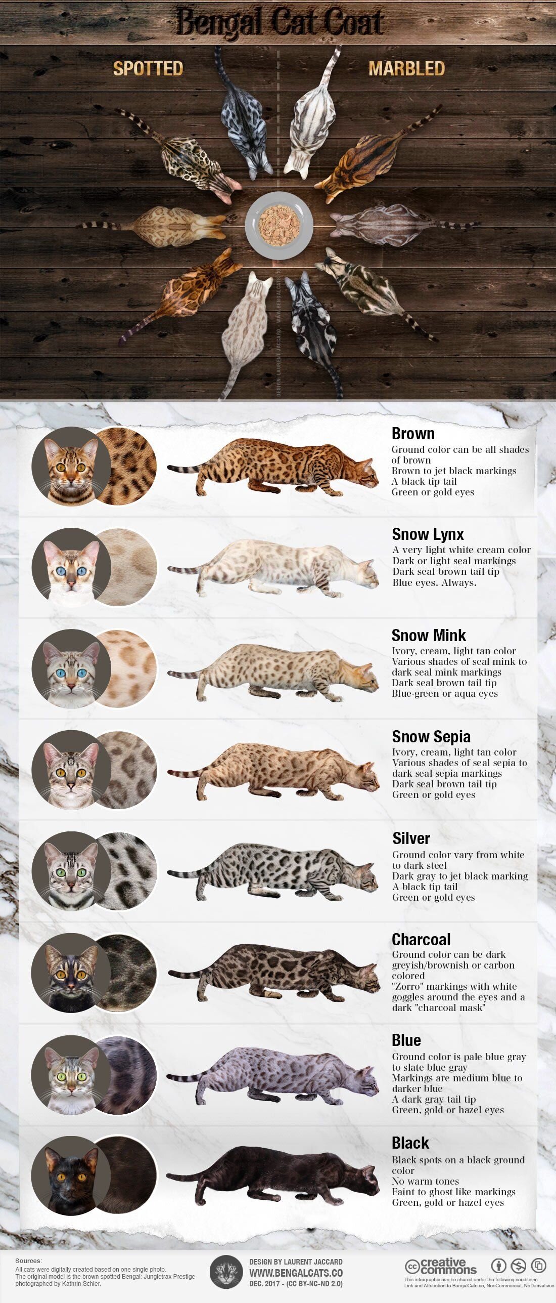 Variety — Pet Bengals