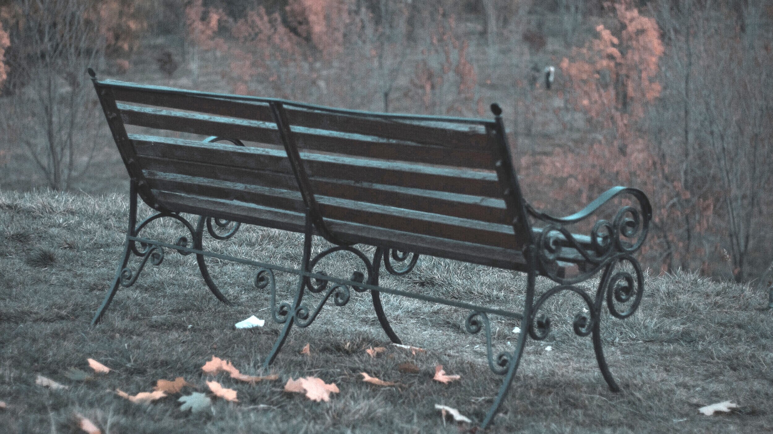 “Now we are at the park in the dark.  I am sobbing sitting at the picnic table because I just want so much better for my son then I can give him.”