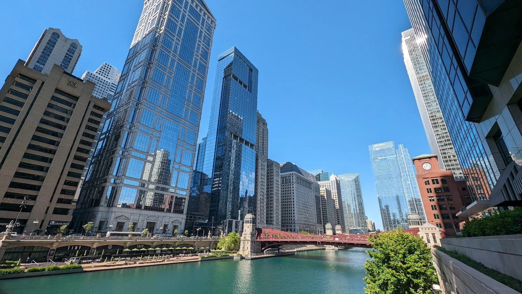 NCSA Goes to Chicago — Pushing for Better Access to Medical and Dental Care for I/DD