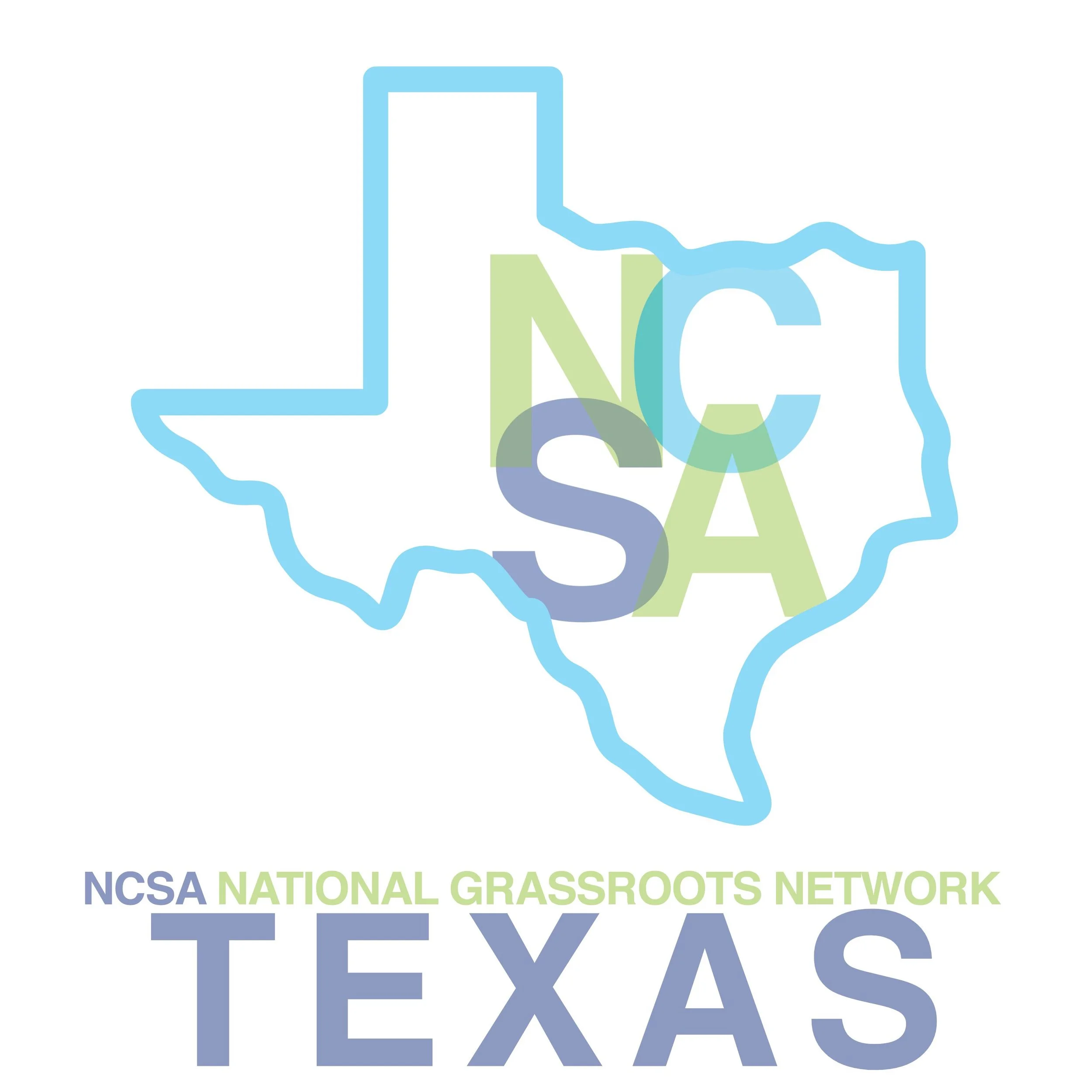 Texas Chapter Virtual Meeting