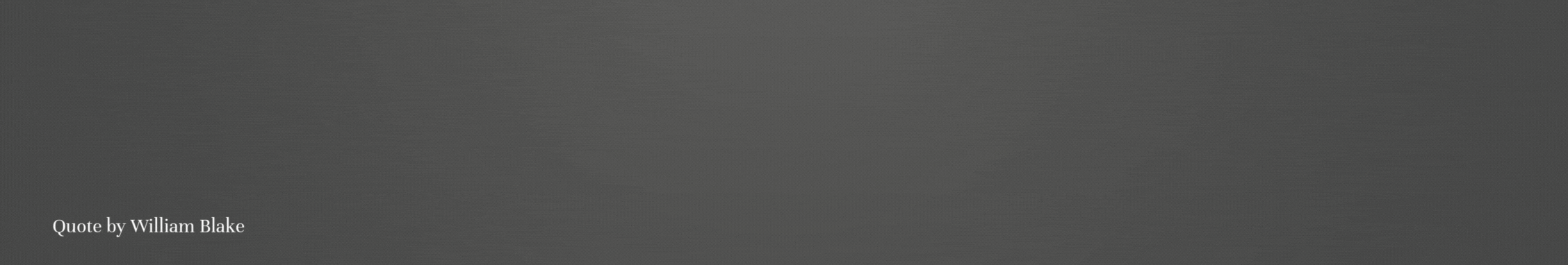 National Council on Severe Autism image 1