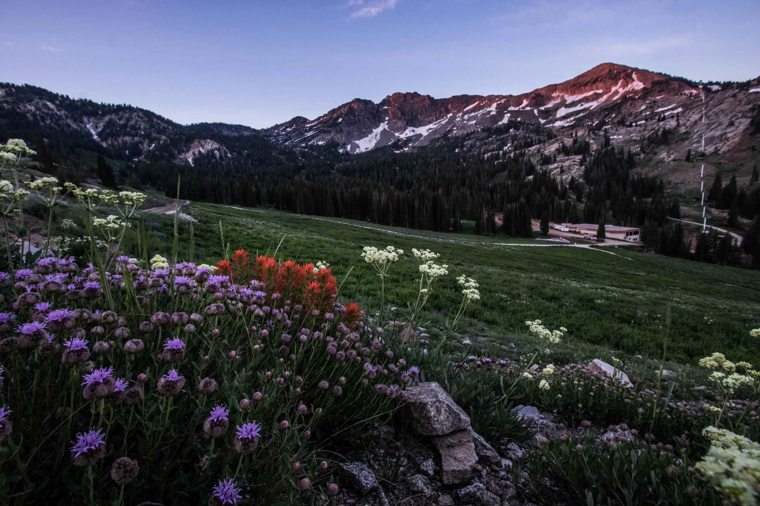 2017 Albion Basin Overnighter-14.jpg