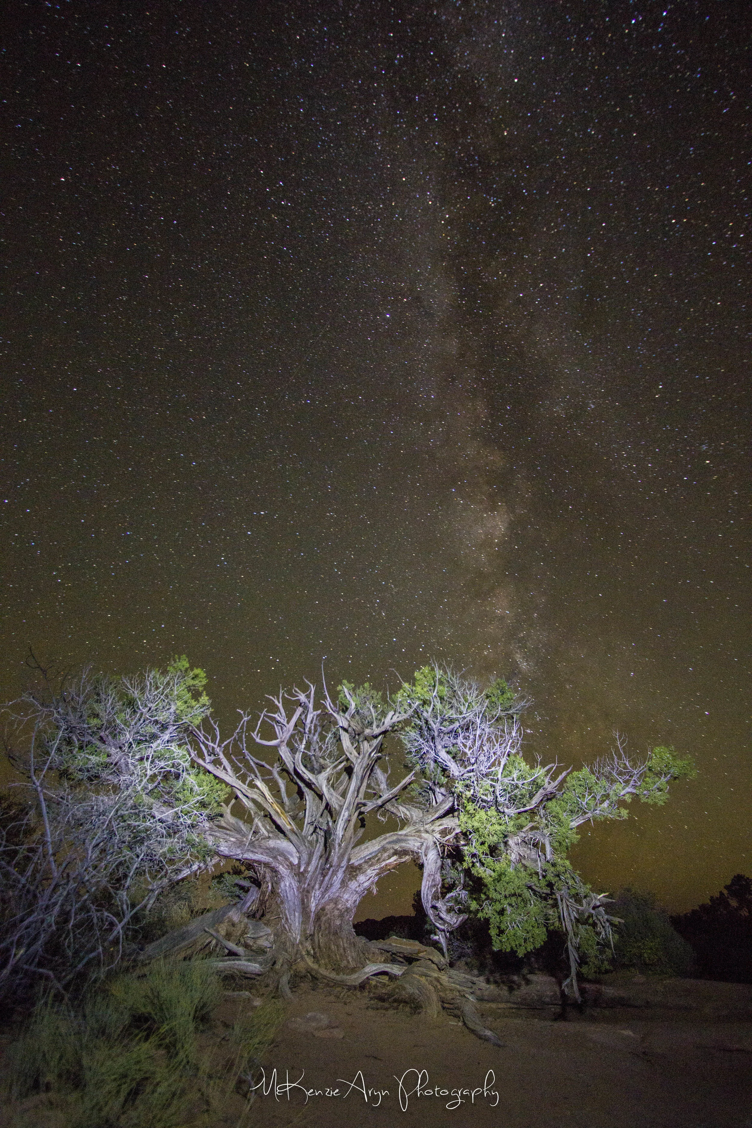 2015 Southern UT trip-122.jpg