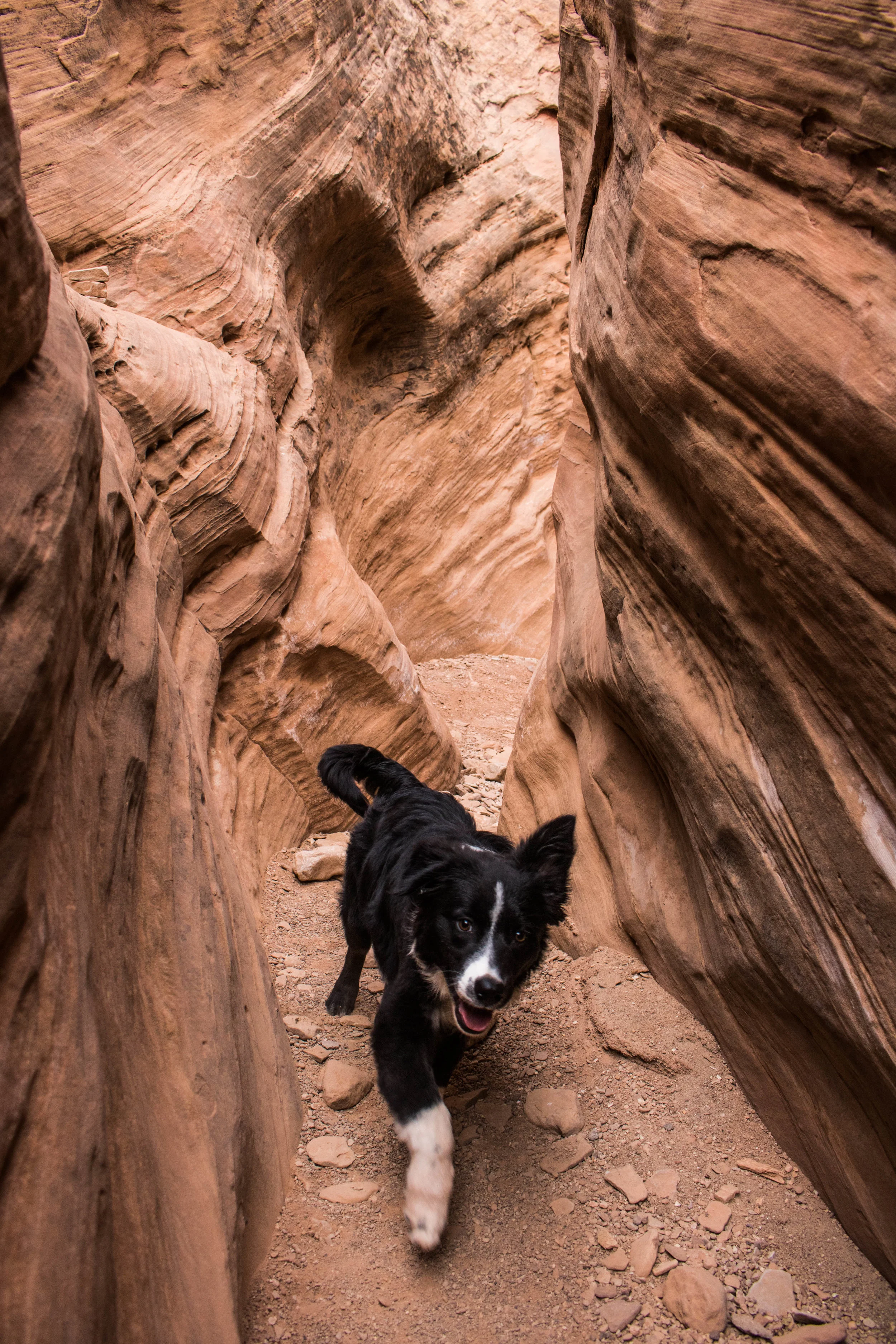 2017 wild horse canyons-14.jpg