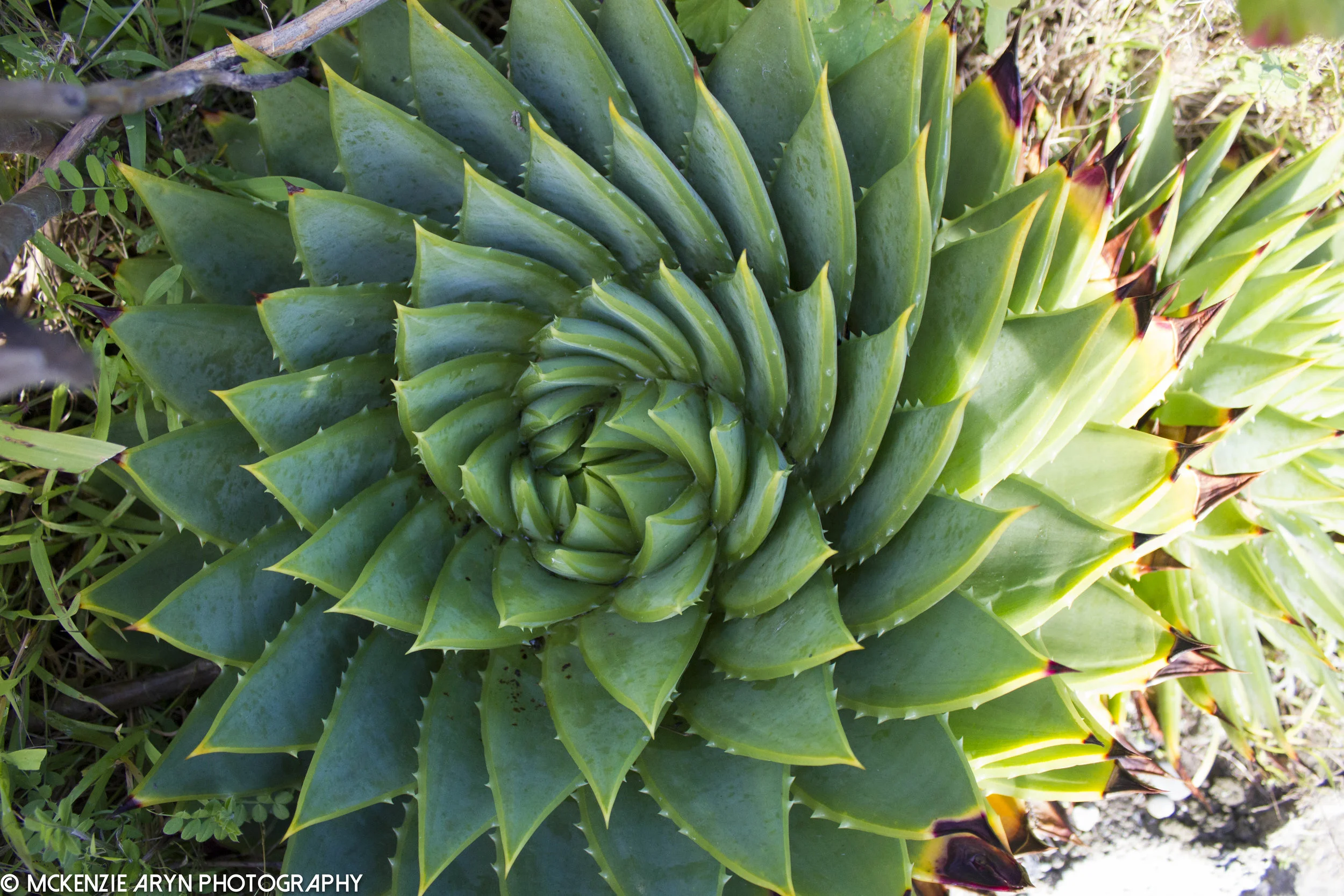 2014 New Zealand-101.jpg
