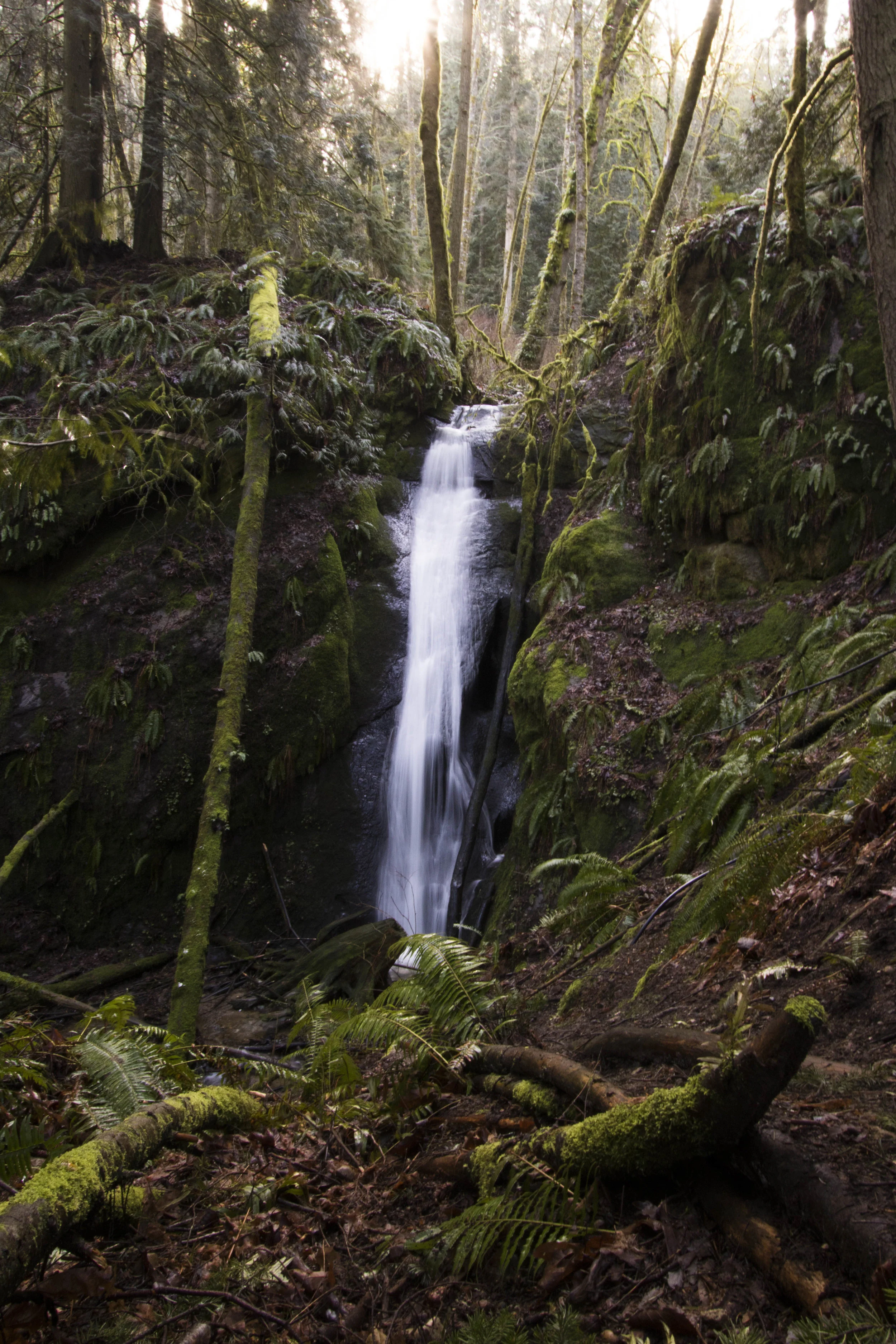 2017Arroyo-Whatcom Falls_-11.jpg