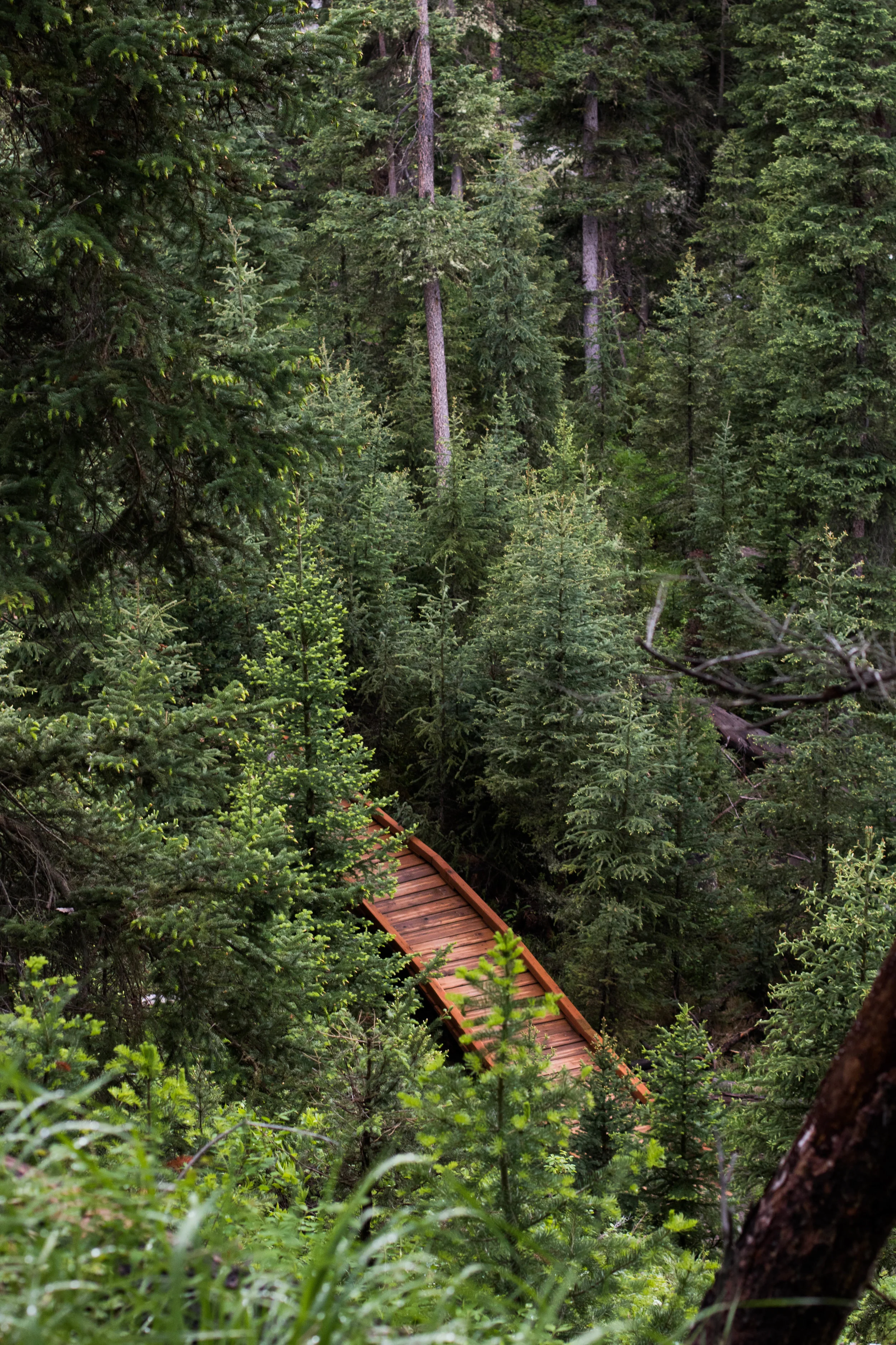 June 18, 2018 beehive basin 2-3.jpg