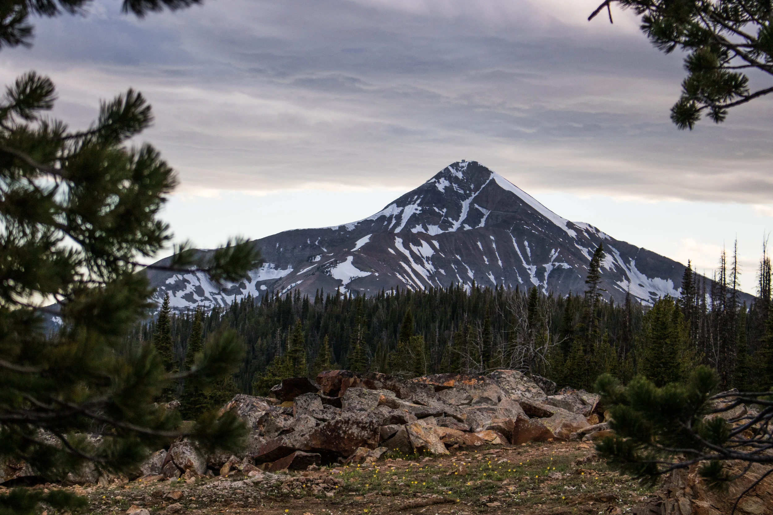 June 13, 2018 beehive basin summer-16.jpg