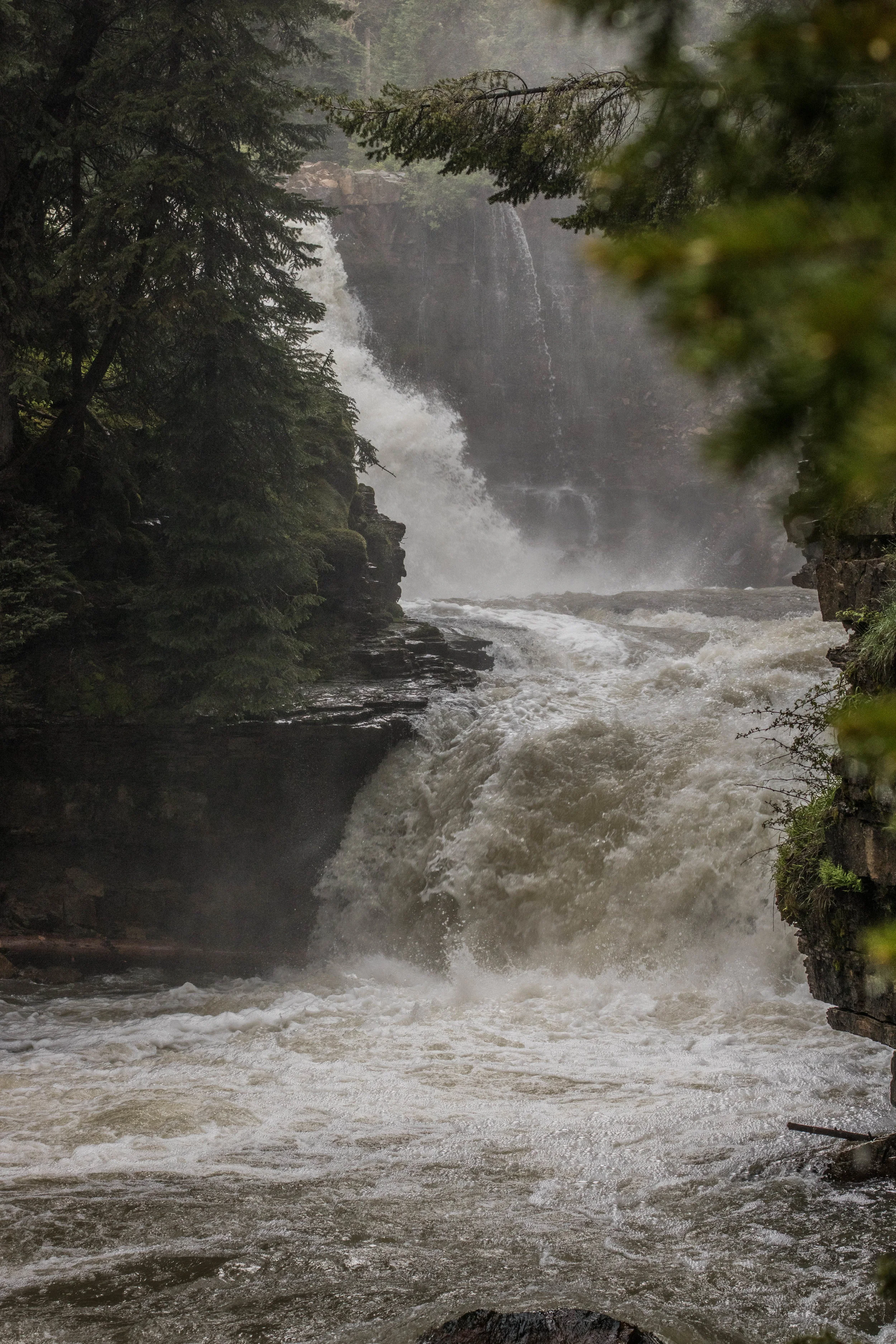 June 18, 2018 beehive basin 2-8.jpg