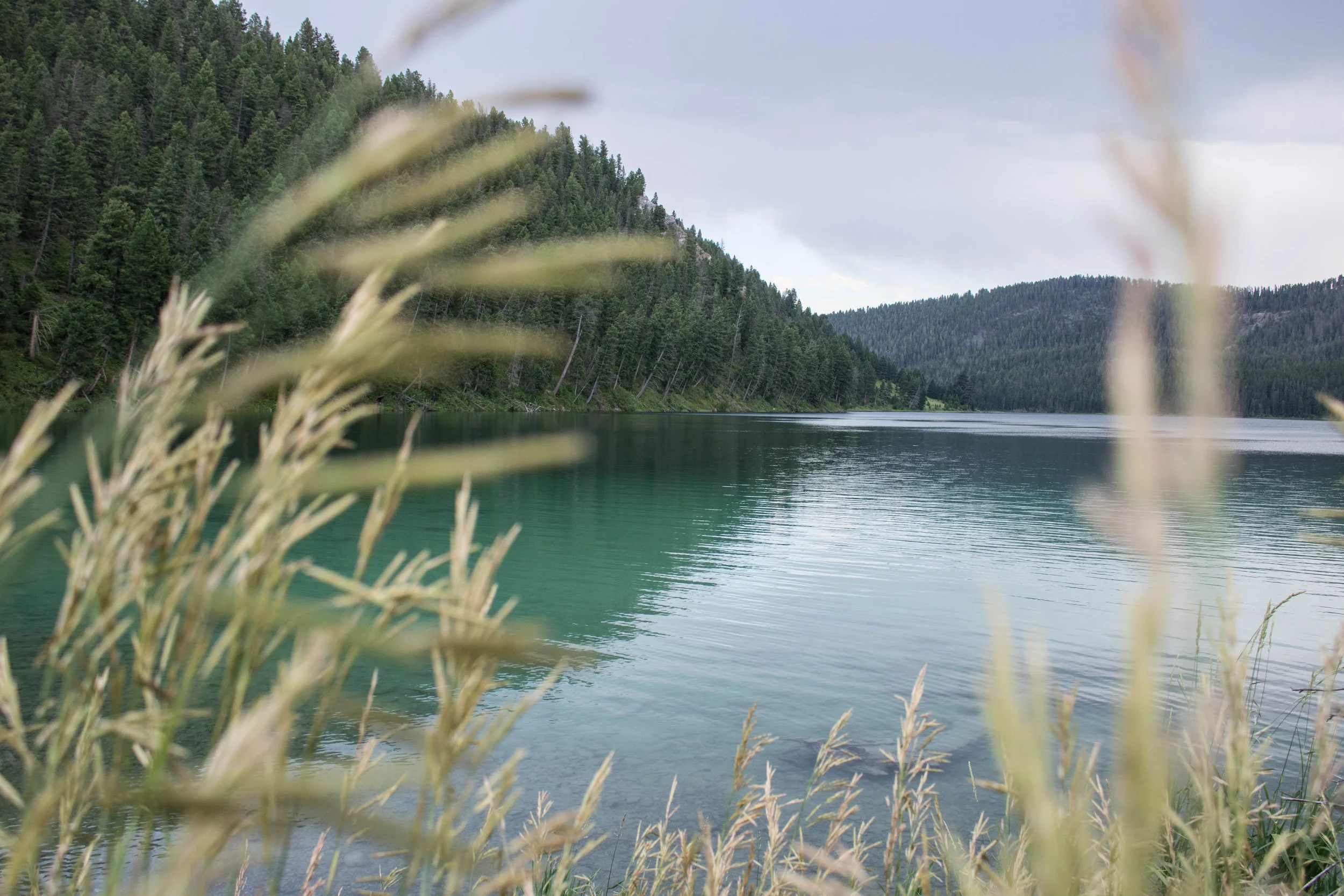 July 27, 2018 cliff lake-18.jpg