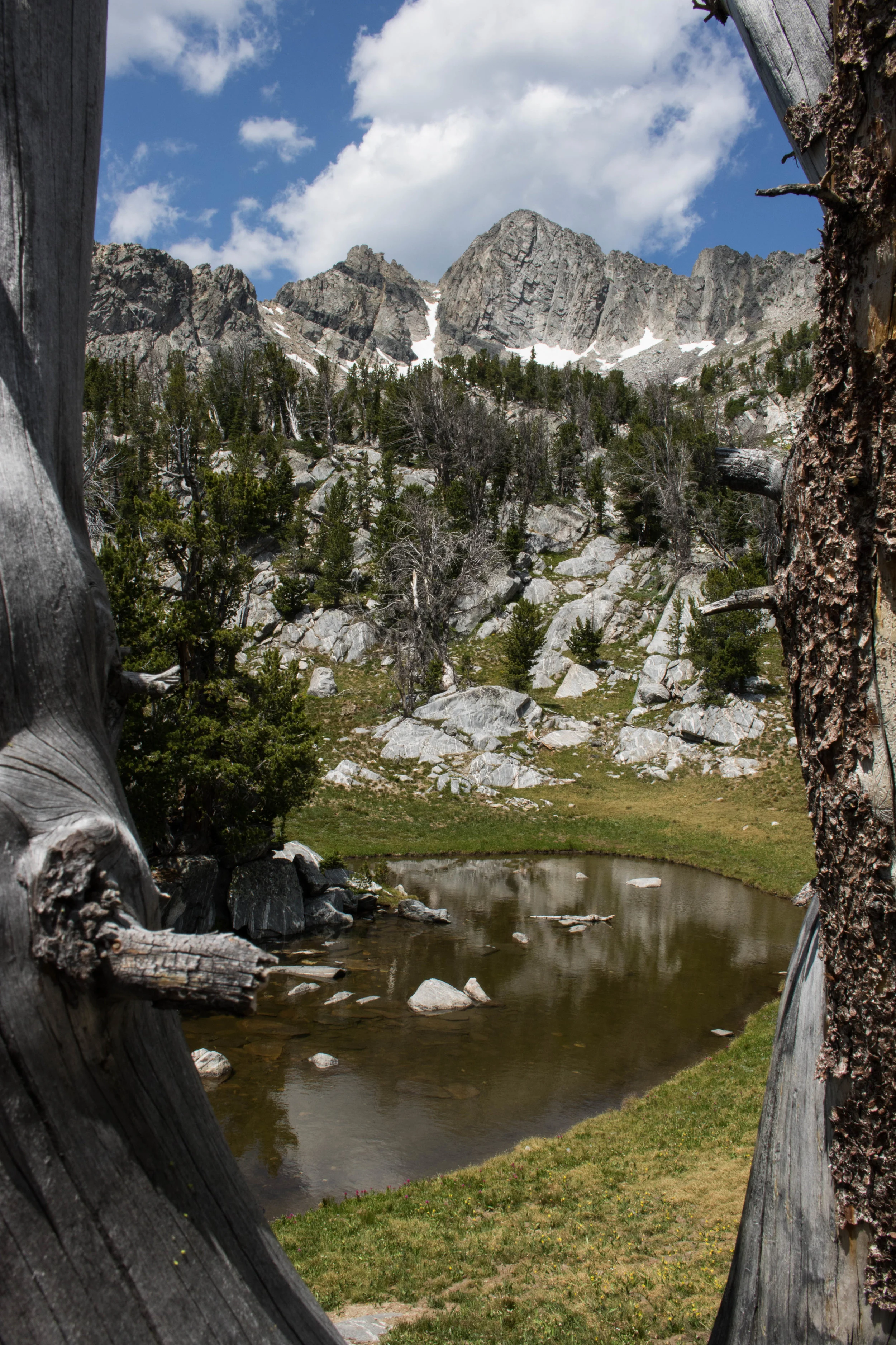 July 21, 2018beehive basin hike-17.jpg