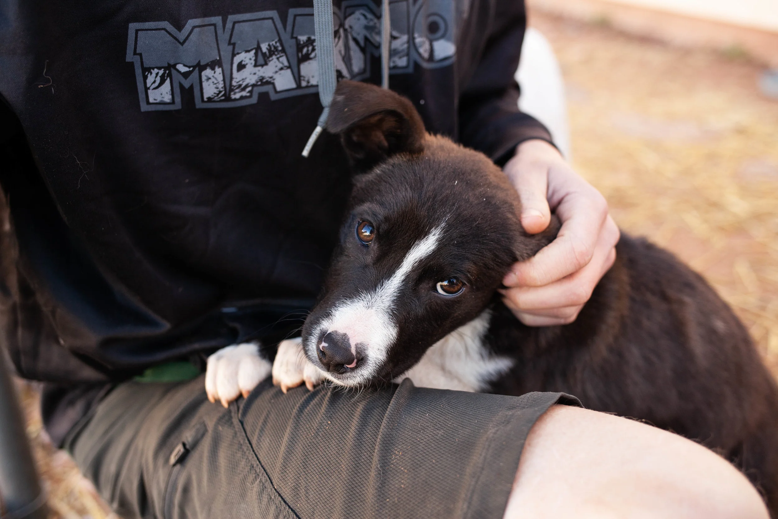 March 16, 2019earlyspringpups-10.jpg