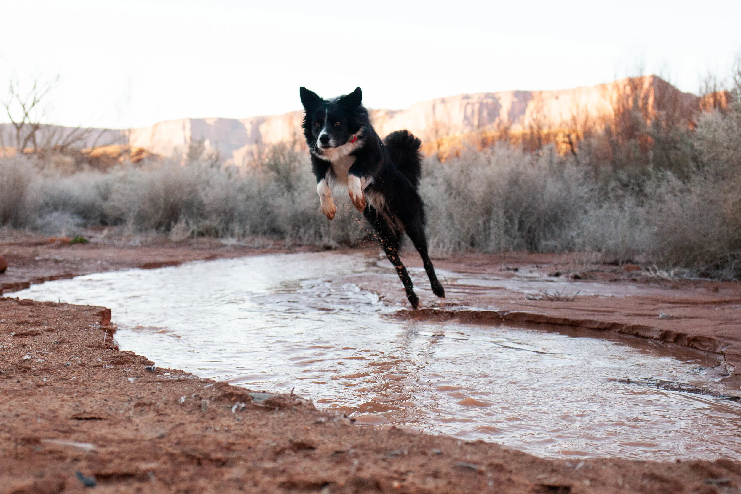 March 16, 2019moabspring-10.jpg