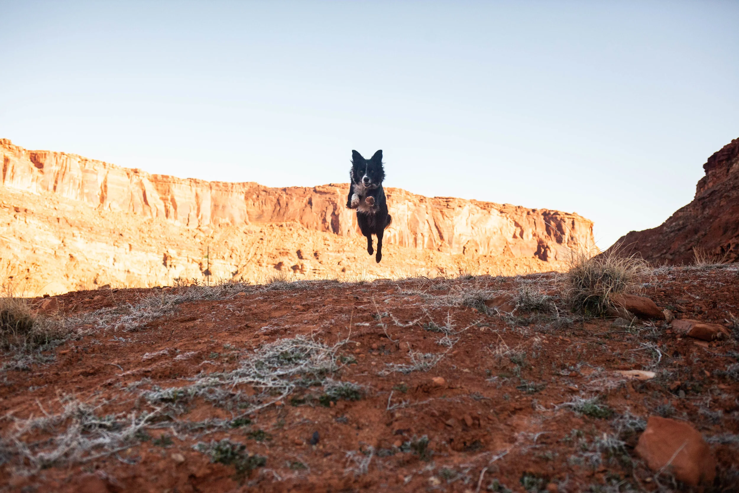 March 16, 2019moabspring-18.jpg