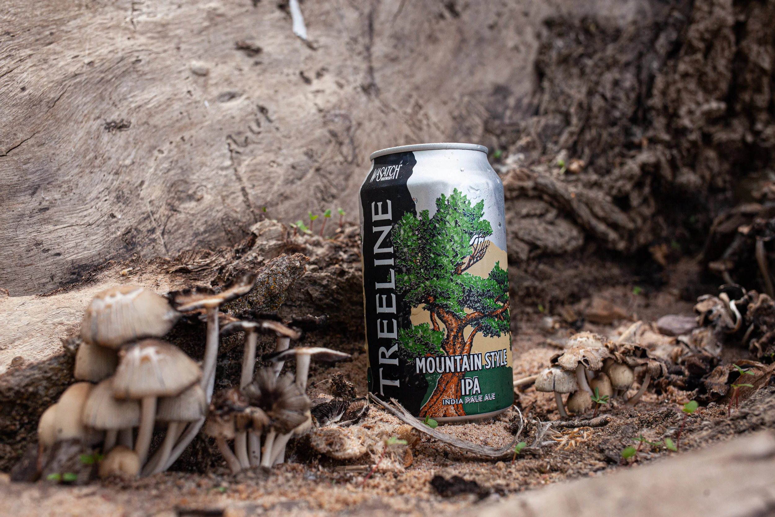August 03, 2019pineviewres-2.jpg