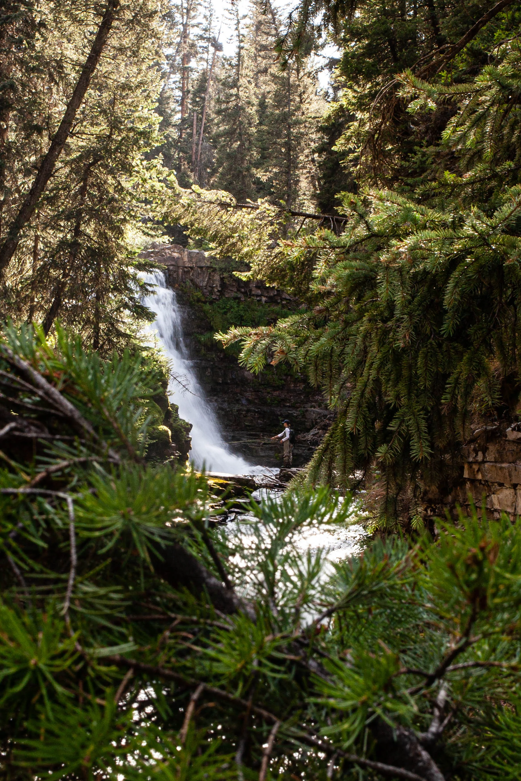 August 10, 2019montana-35.jpg