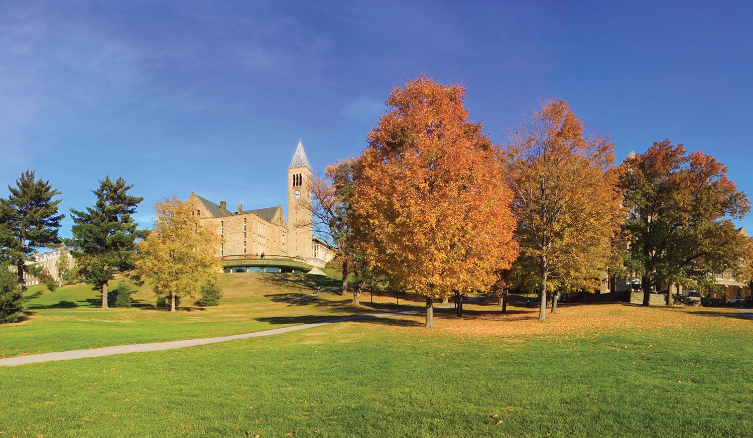 Welcome_To_Cornell_1500px_banner_image.jpg