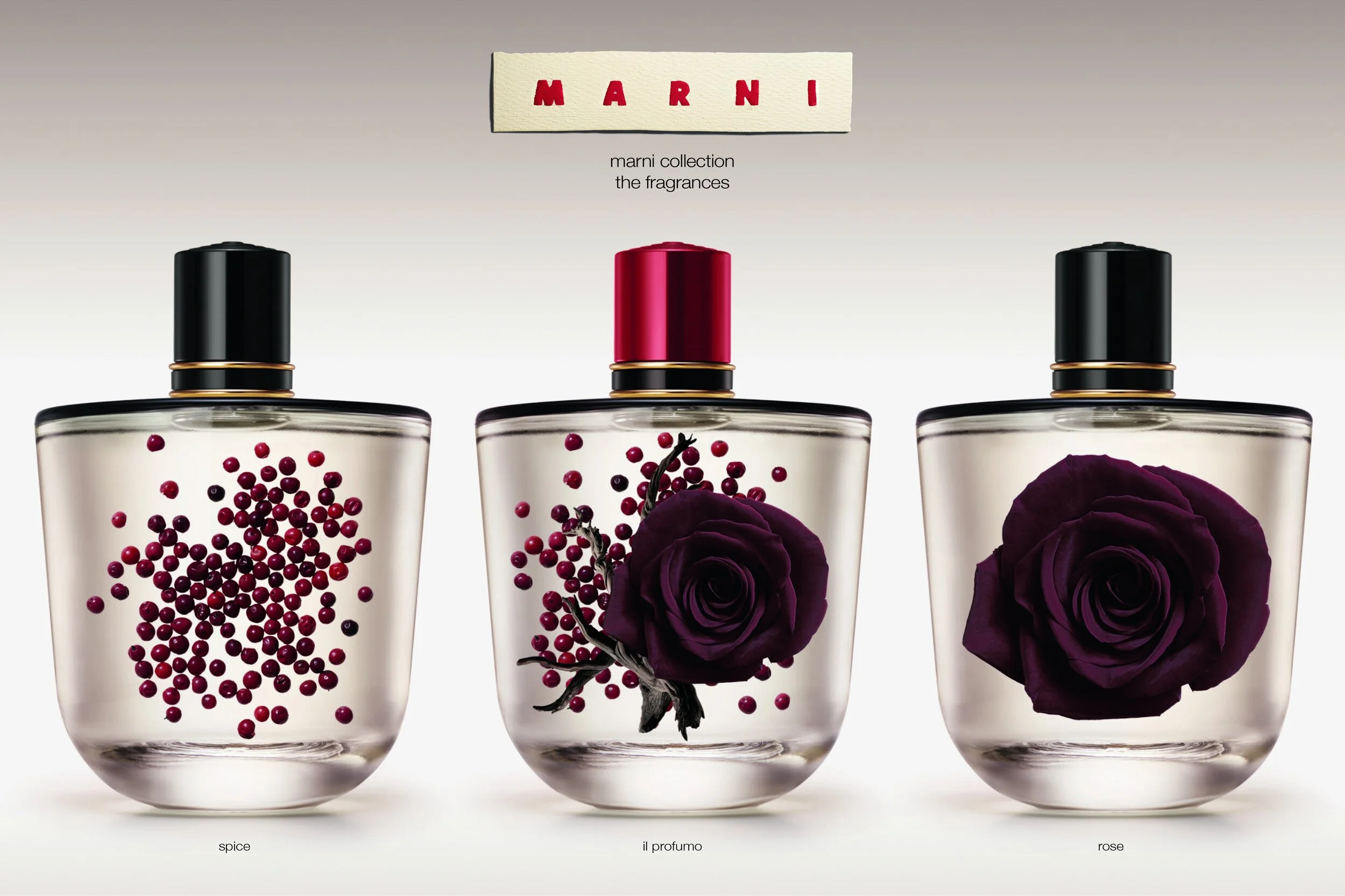 MAR_0205_3Bottles_lo.jpg