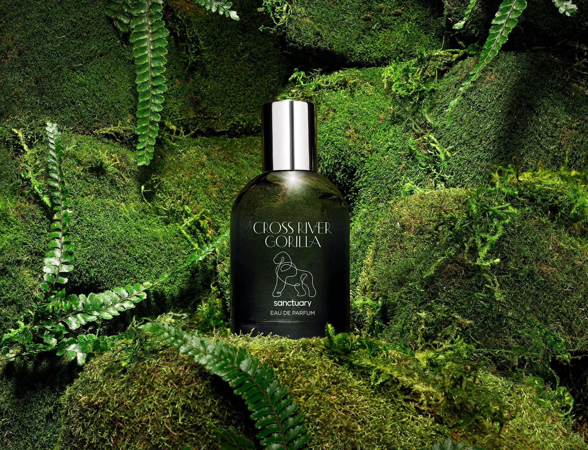 03_Sanctuary_1958x1500_ECOMM_PDP_Gorilla.jpg