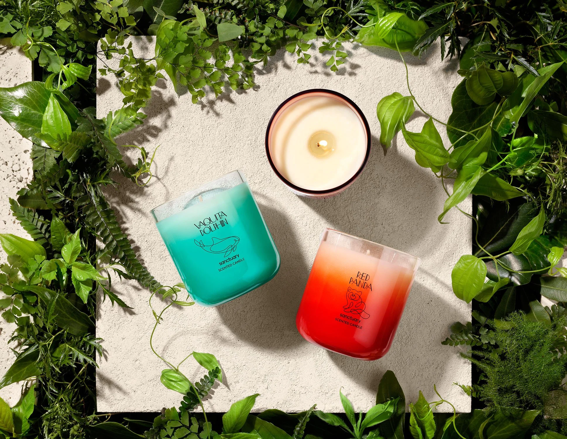 03_Sanctuary_1938x1500_ECOMM_CANDLES_VAQUITADOLPHIN.jpg