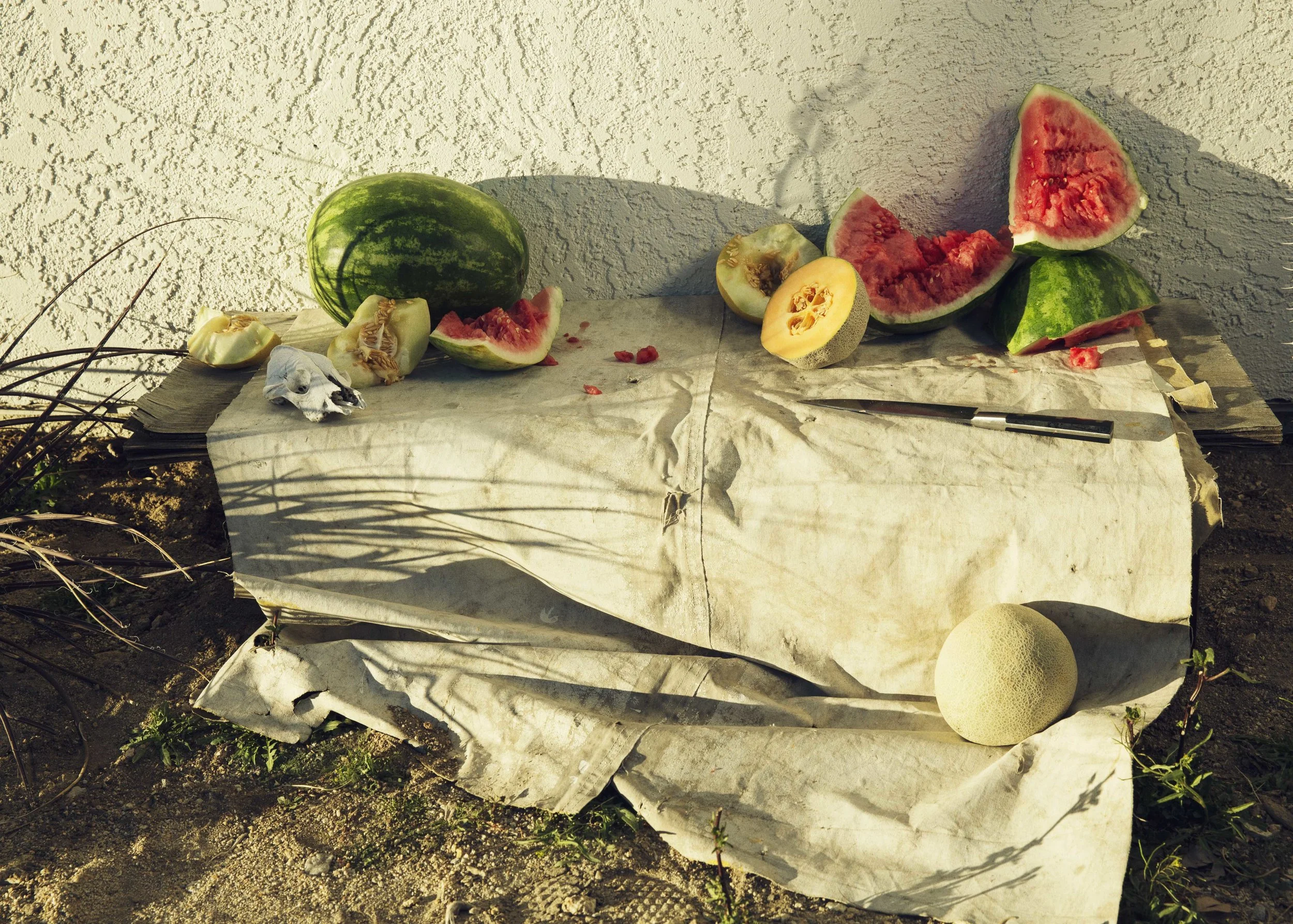 Anna Wolf — Tidal Magazine - Yucca Valley