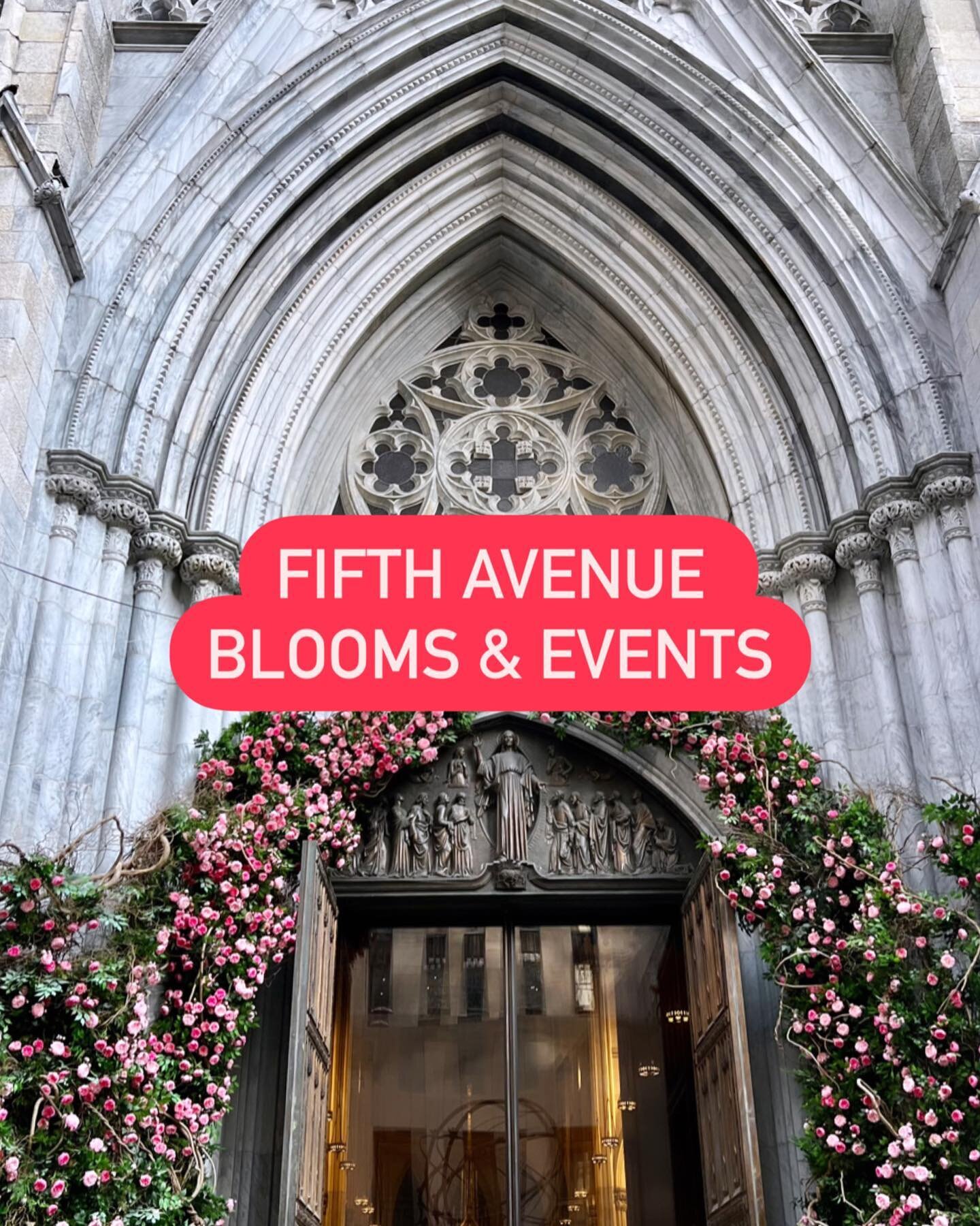 🌷NYC MUST SEE ASAP 🌷 @vancleefarpels is hosting these free floral blooms installations on 5th Ave (50th-59th St) until 5/31!
Also recommend:
🌷 On 51st &amp; Fifth, see the famous St Patrick&rsquo;s Cathedral entrance decorated with florals 🌸🌸
🌷