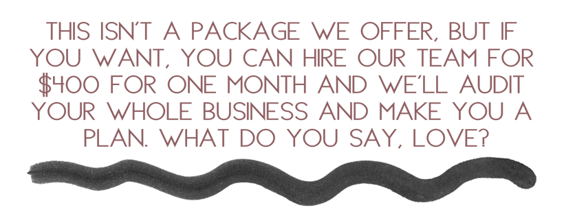 this isn't a package we offer, but if you want, you can hire our team for $400 for 1 month and we'll audit your whole business and make you a plan. what do you say_.png